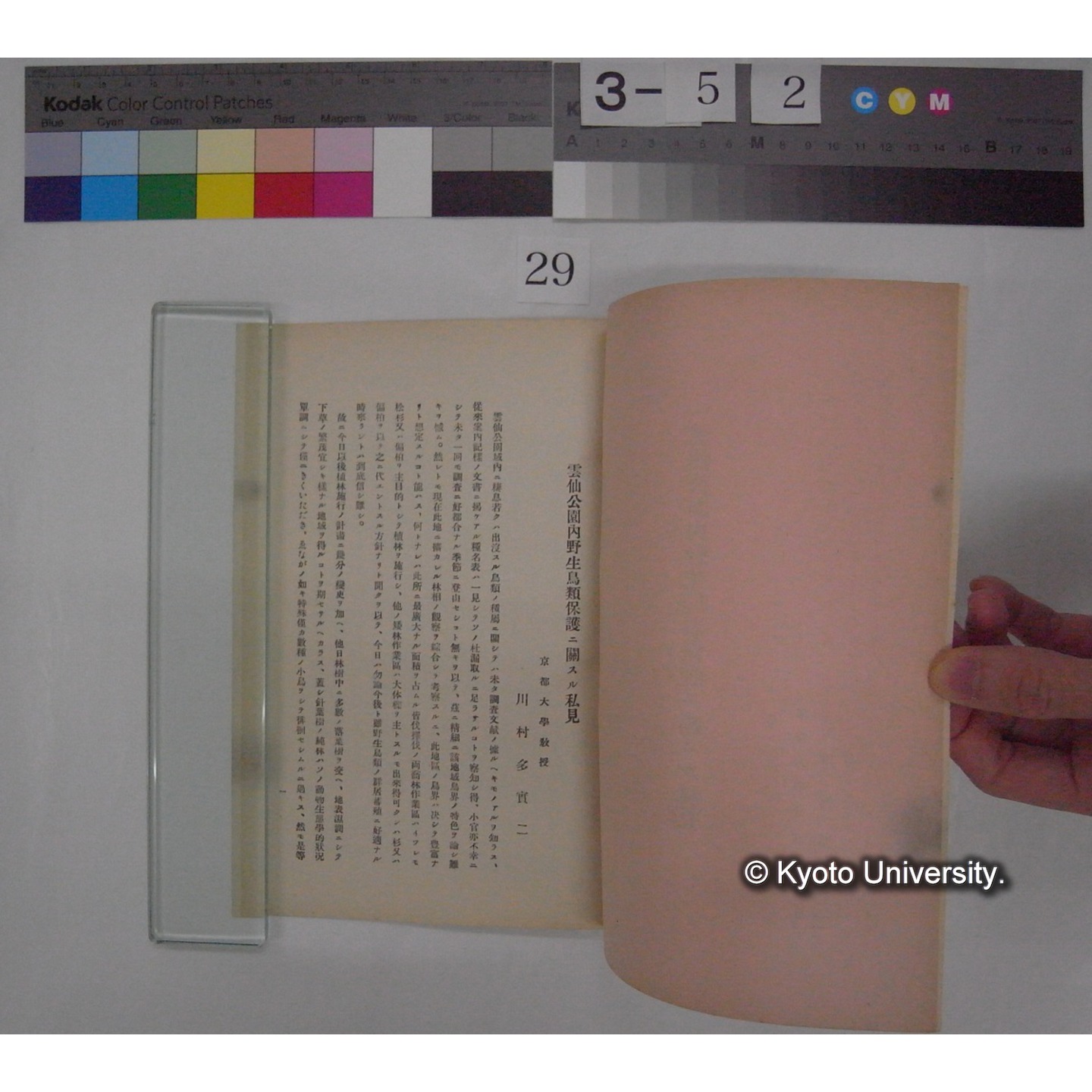 雲仙公園内野生鳥類保護ニ関スル私見 / 川村多實二 (2)