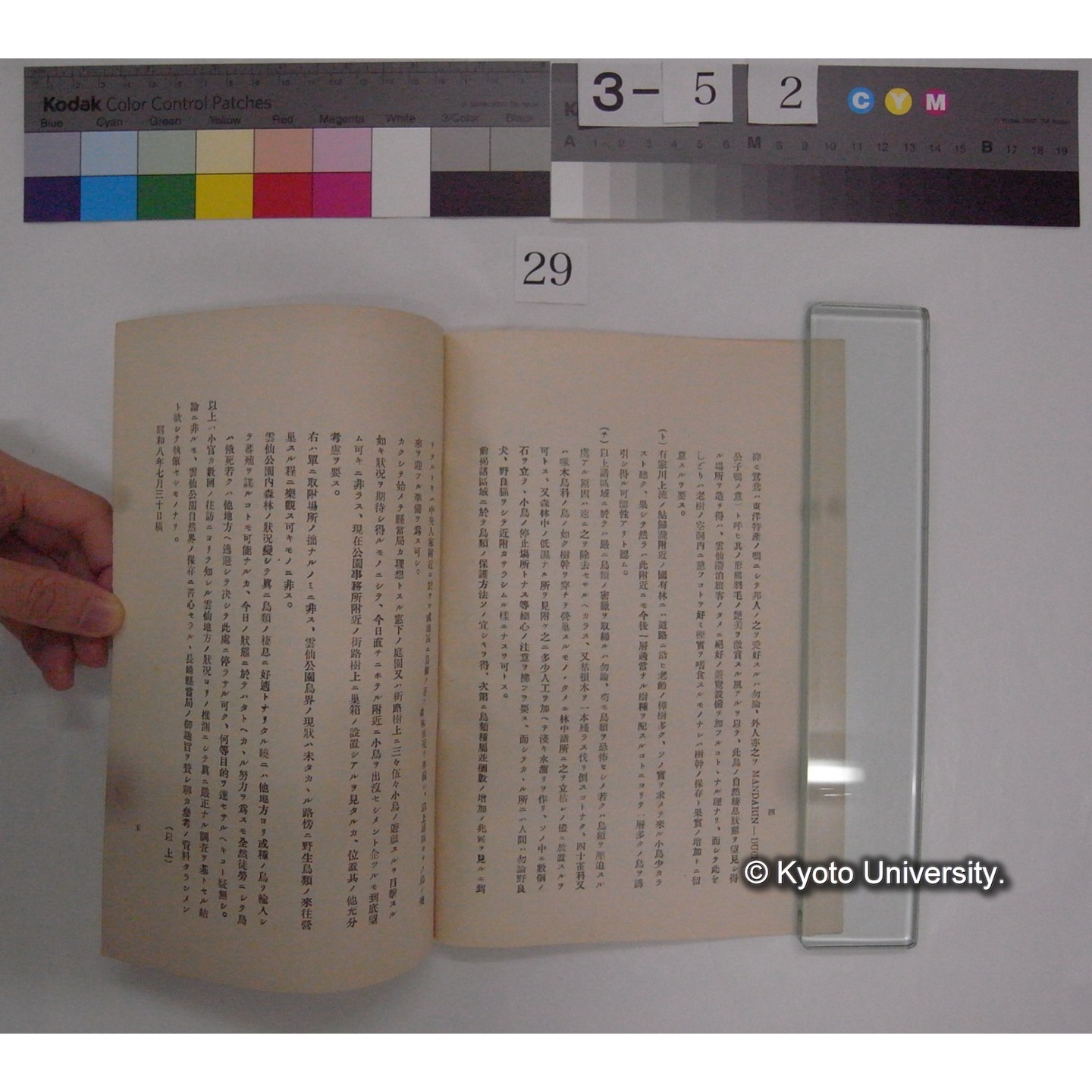 雲仙公園内野生鳥類保護ニ関スル私見 / 川村多實二 (3)