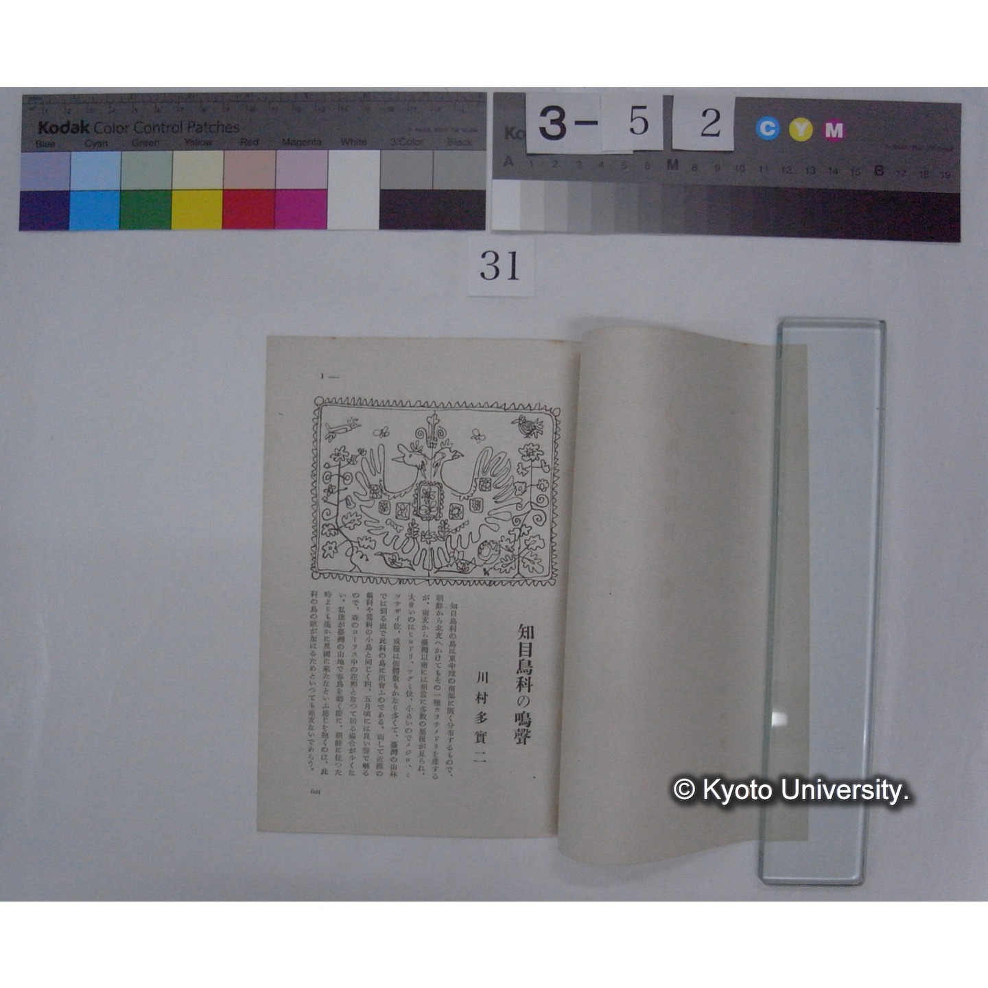 知目鳥科の鳴声 / 川村多實二 (野鳥; 8巻11号別刷) (2)