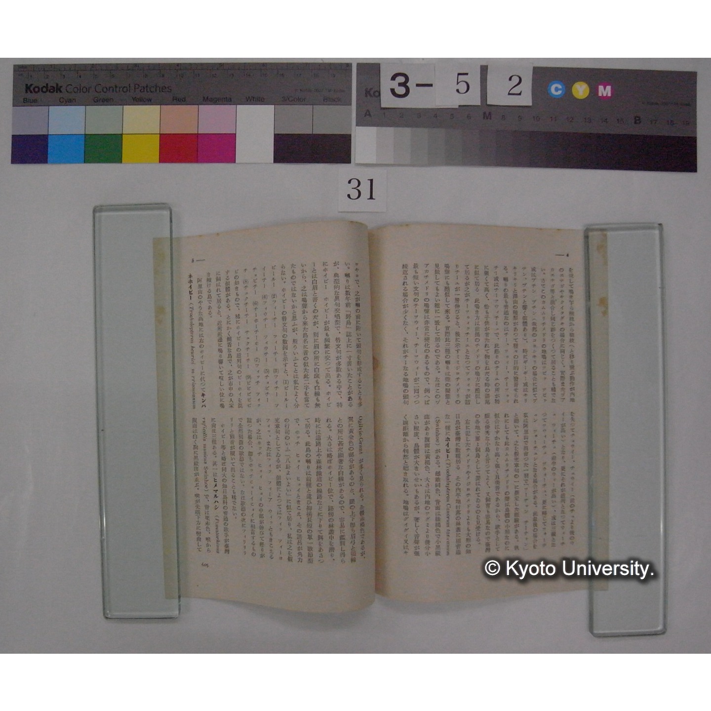 知目鳥科の鳴声 / 川村多實二 (野鳥; 8巻11号別刷) (3)