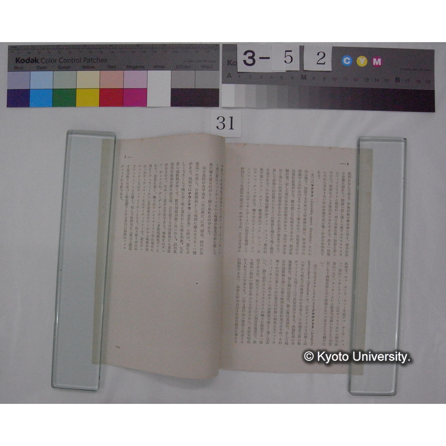 知目鳥科の鳴声 / 川村多實二 (野鳥; 8巻11号別刷) (4)