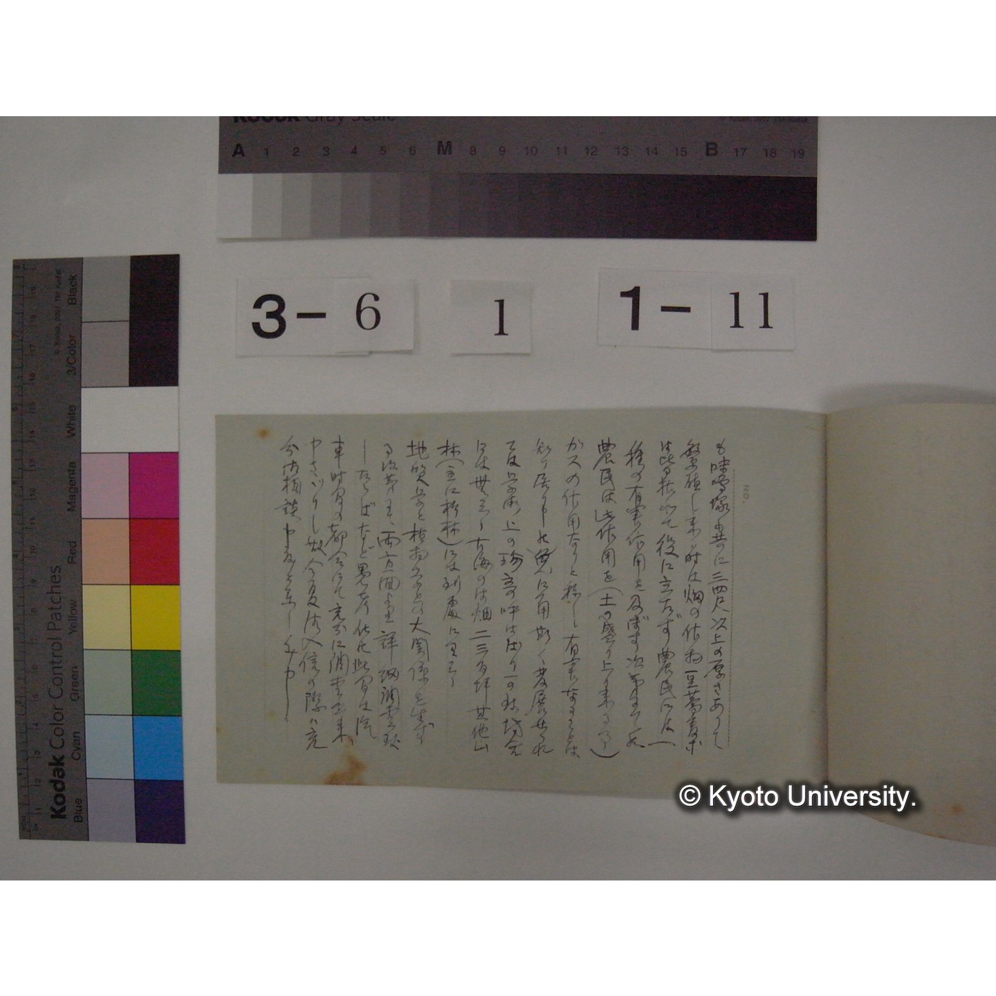 古海村ほか「天狗の麦飯」産地調査の概要 [直筆原稿] (2)