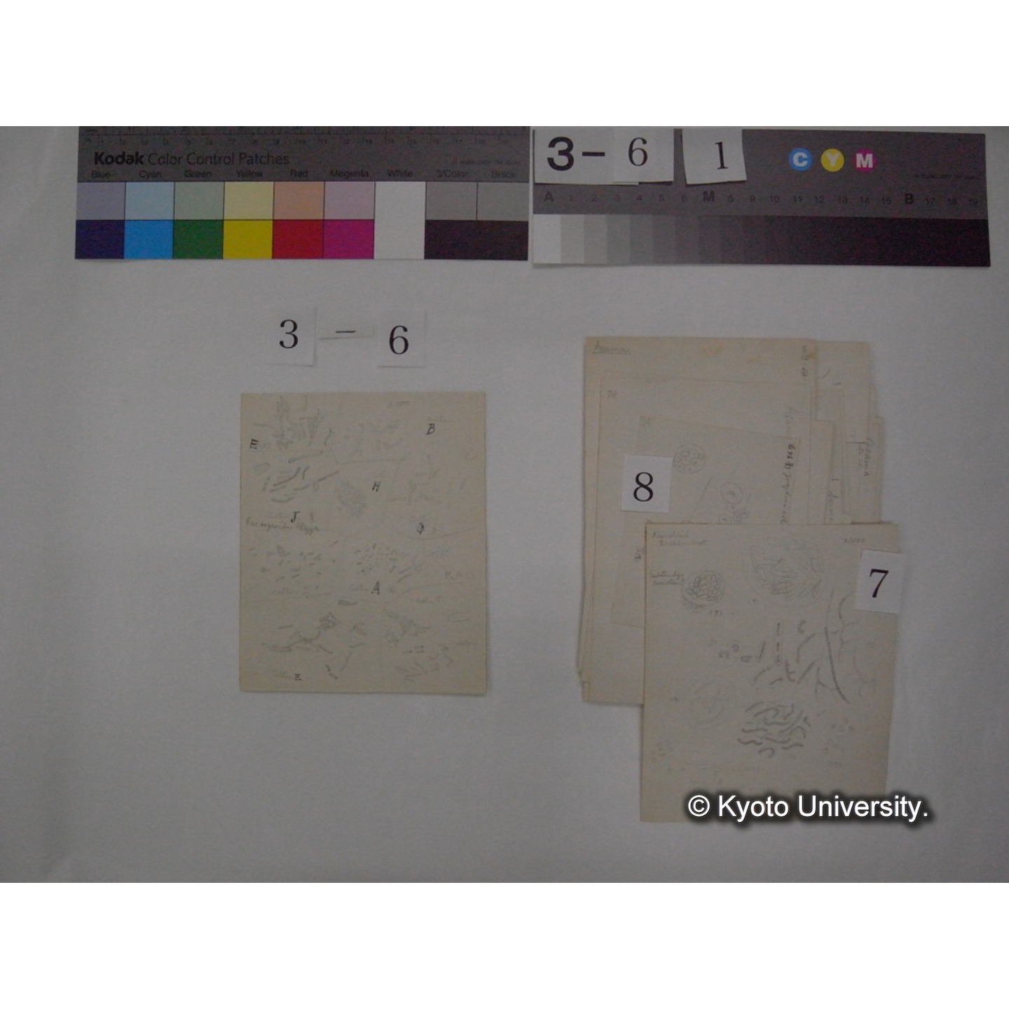 浅間山採集「天狗の麦飯」試料観察スケッチ等(「浅間山天狗之麦飯」) (13)