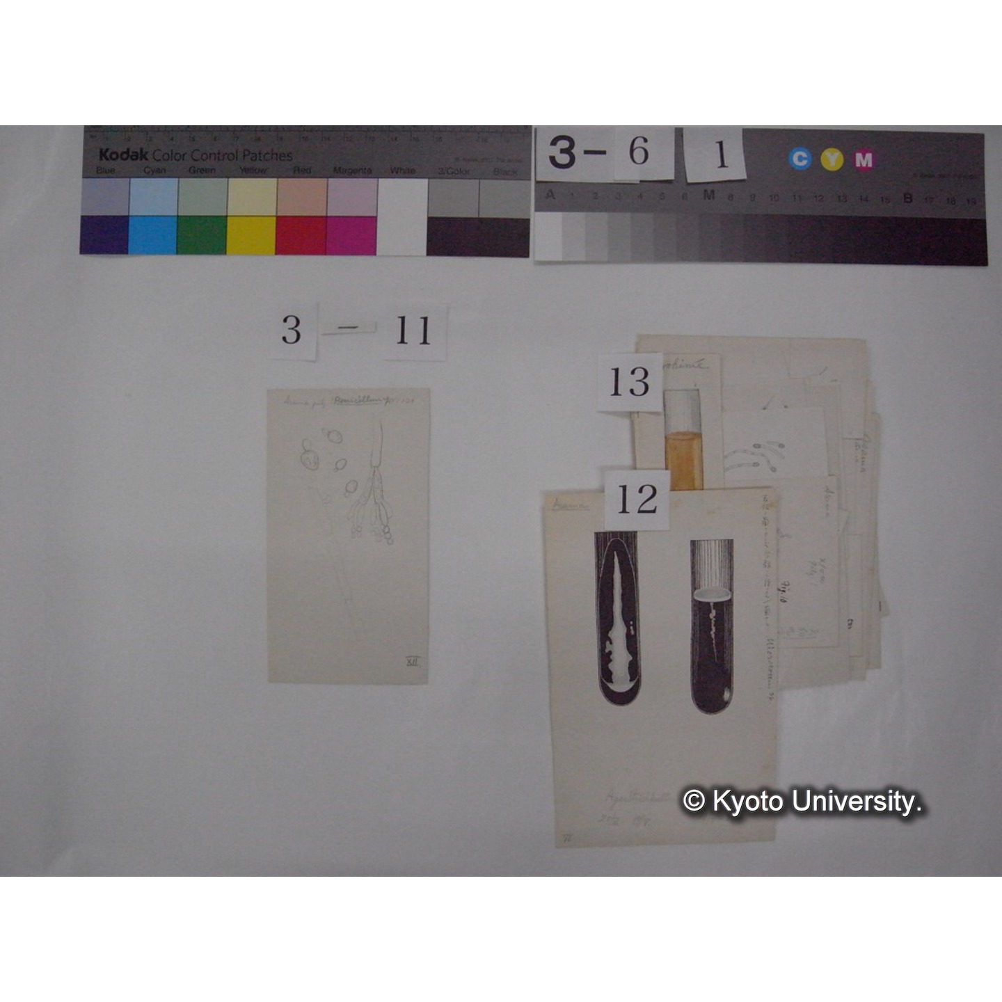 浅間山採集「天狗の麦飯」試料観察スケッチ等(「浅間山天狗之麦飯」) (18)