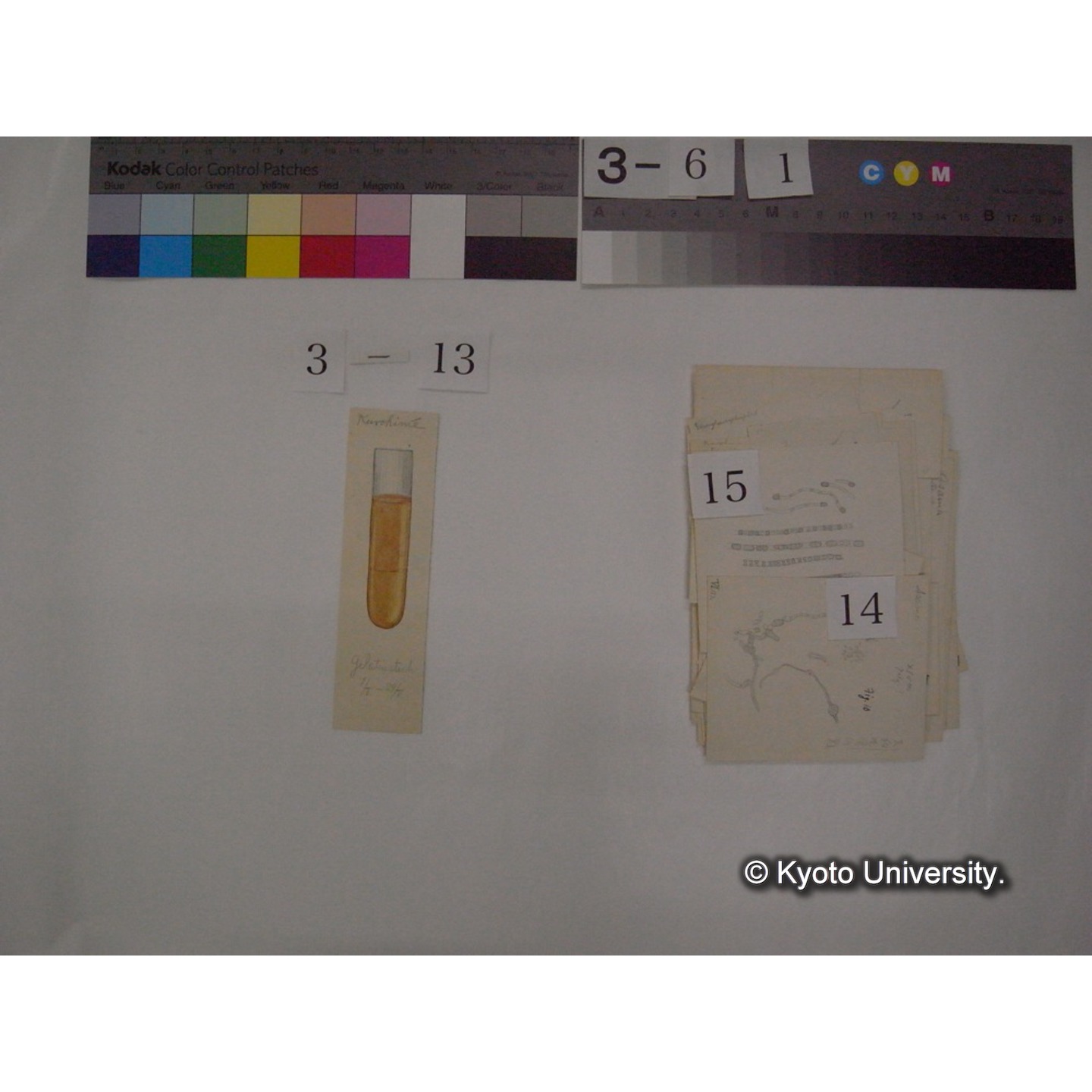 浅間山採集「天狗の麦飯」試料観察スケッチ等(「浅間山天狗之麦飯」) (20)