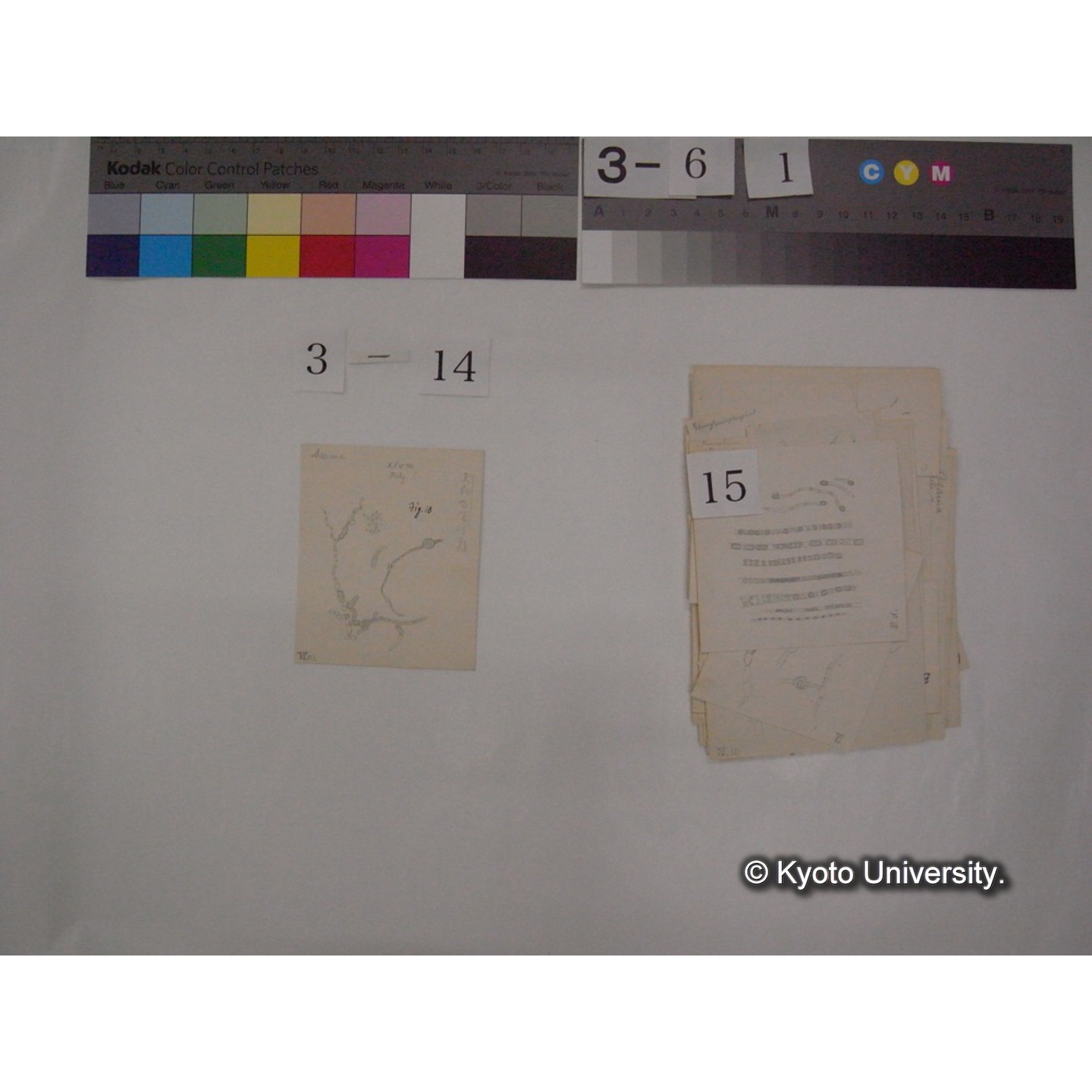 浅間山採集「天狗の麦飯」試料観察スケッチ等(「浅間山天狗之麦飯」) (21)