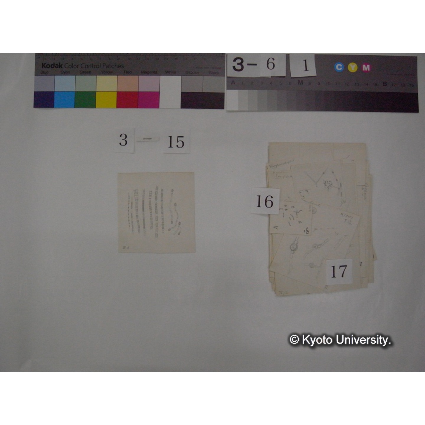 浅間山採集「天狗の麦飯」試料観察スケッチ等(「浅間山天狗之麦飯」) (22)