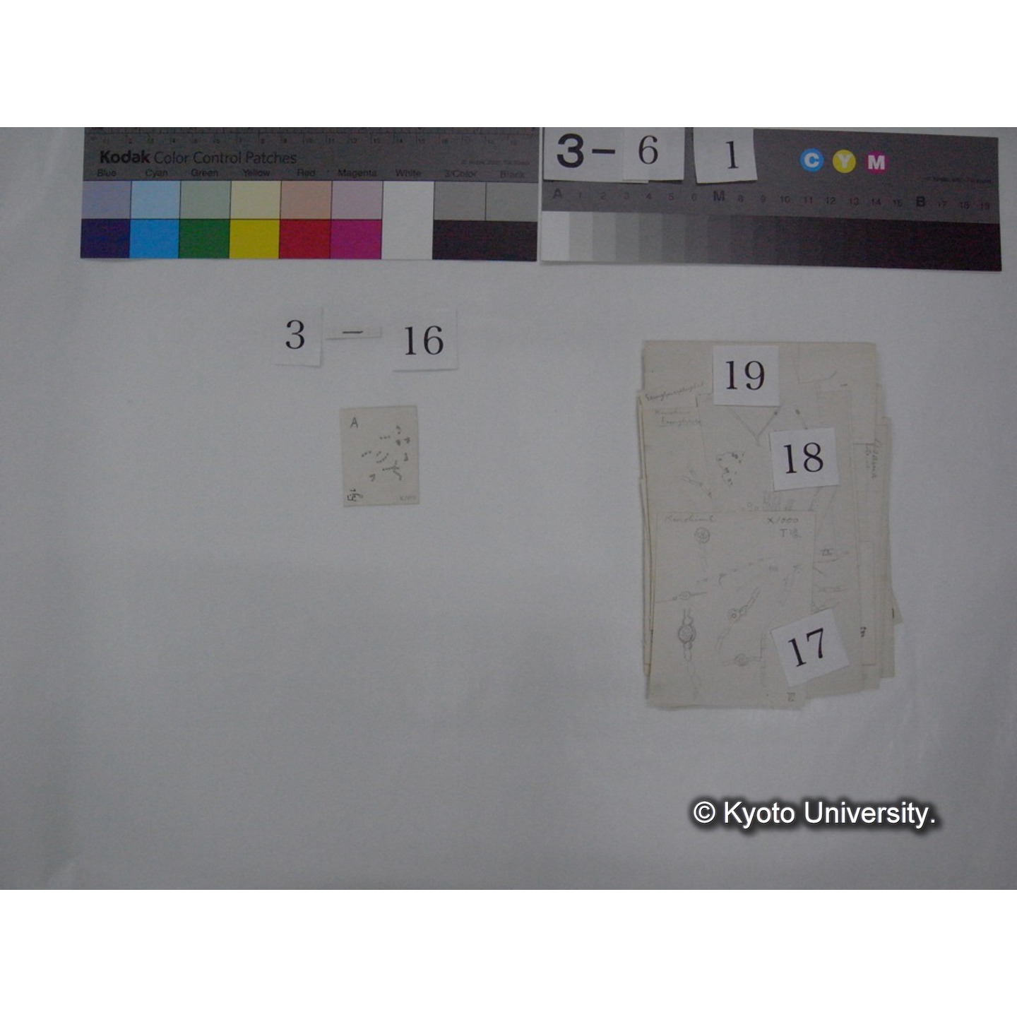 浅間山採集「天狗の麦飯」試料観察スケッチ等(「浅間山天狗之麦飯」) (23)