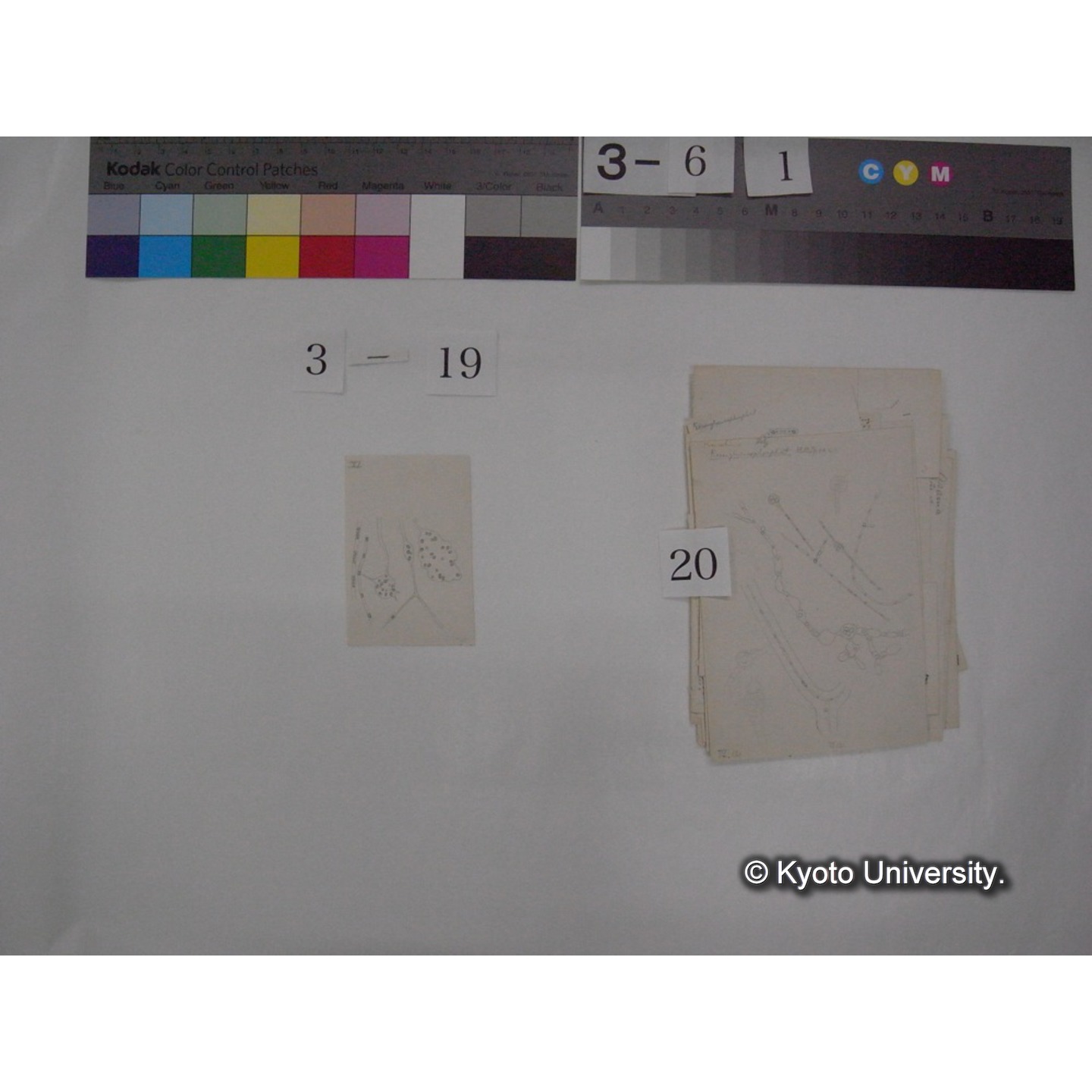 浅間山採集「天狗の麦飯」試料観察スケッチ等(「浅間山天狗之麦飯」) (26)