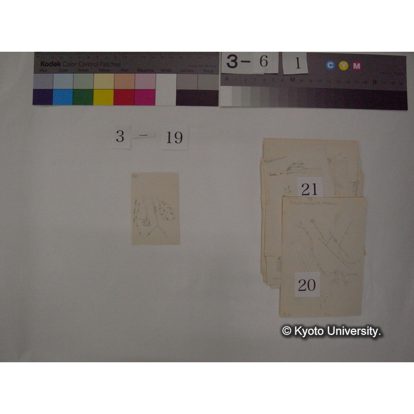 浅間山採集「天狗の麦飯」試料観察スケッチ等(「浅間山天狗之麦飯」) (27)