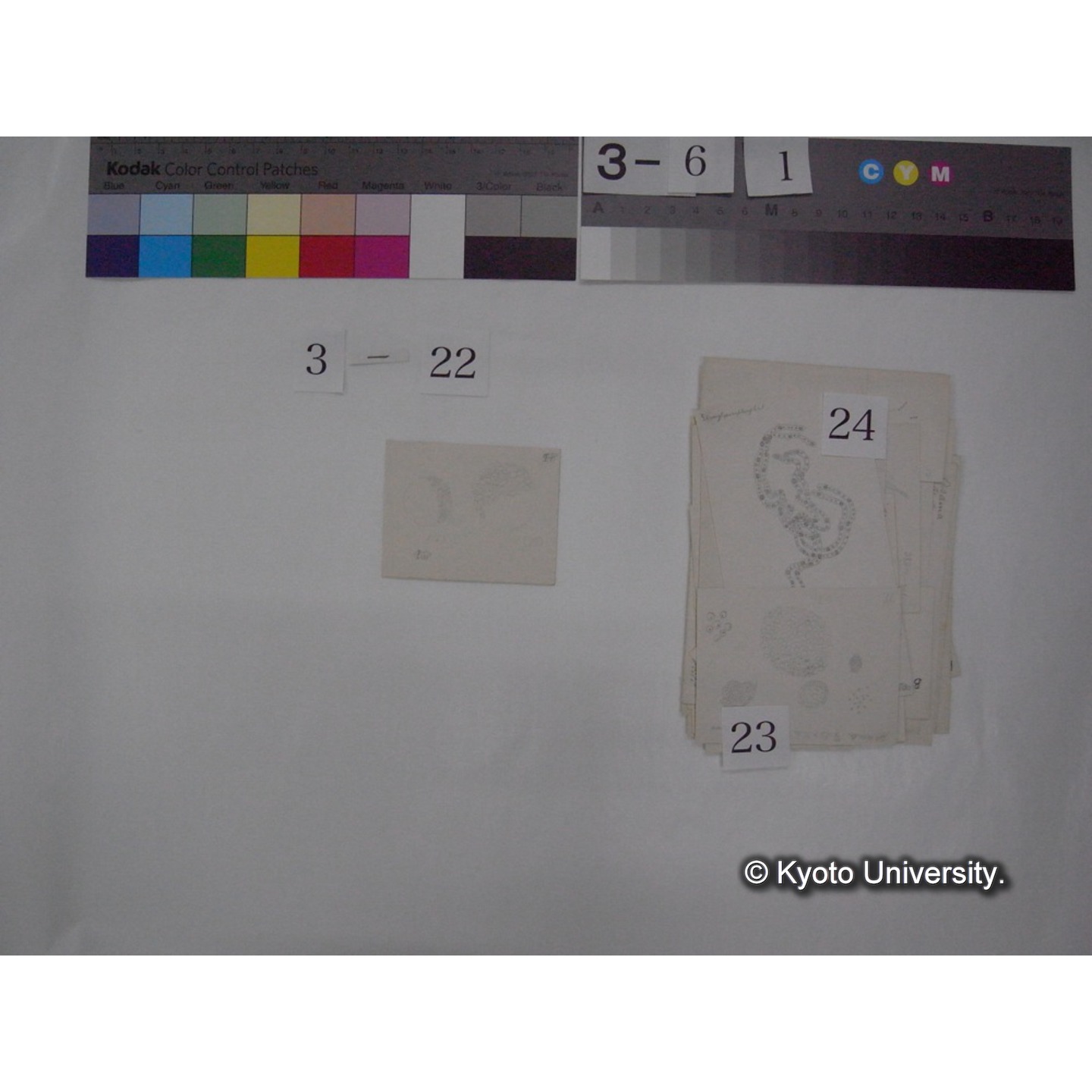 浅間山採集「天狗の麦飯」試料観察スケッチ等(「浅間山天狗之麦飯」) (30)