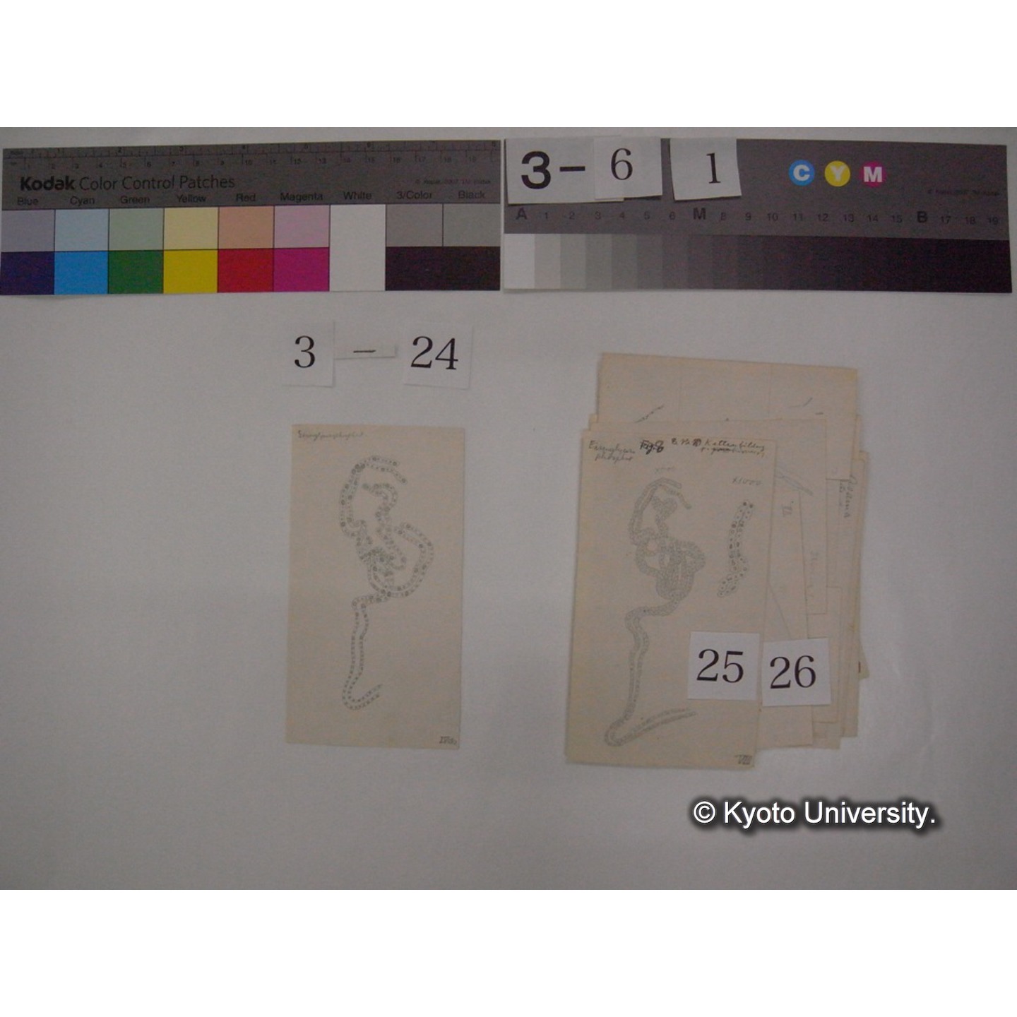 浅間山採集「天狗の麦飯」試料観察スケッチ等(「浅間山天狗之麦飯」) (32)