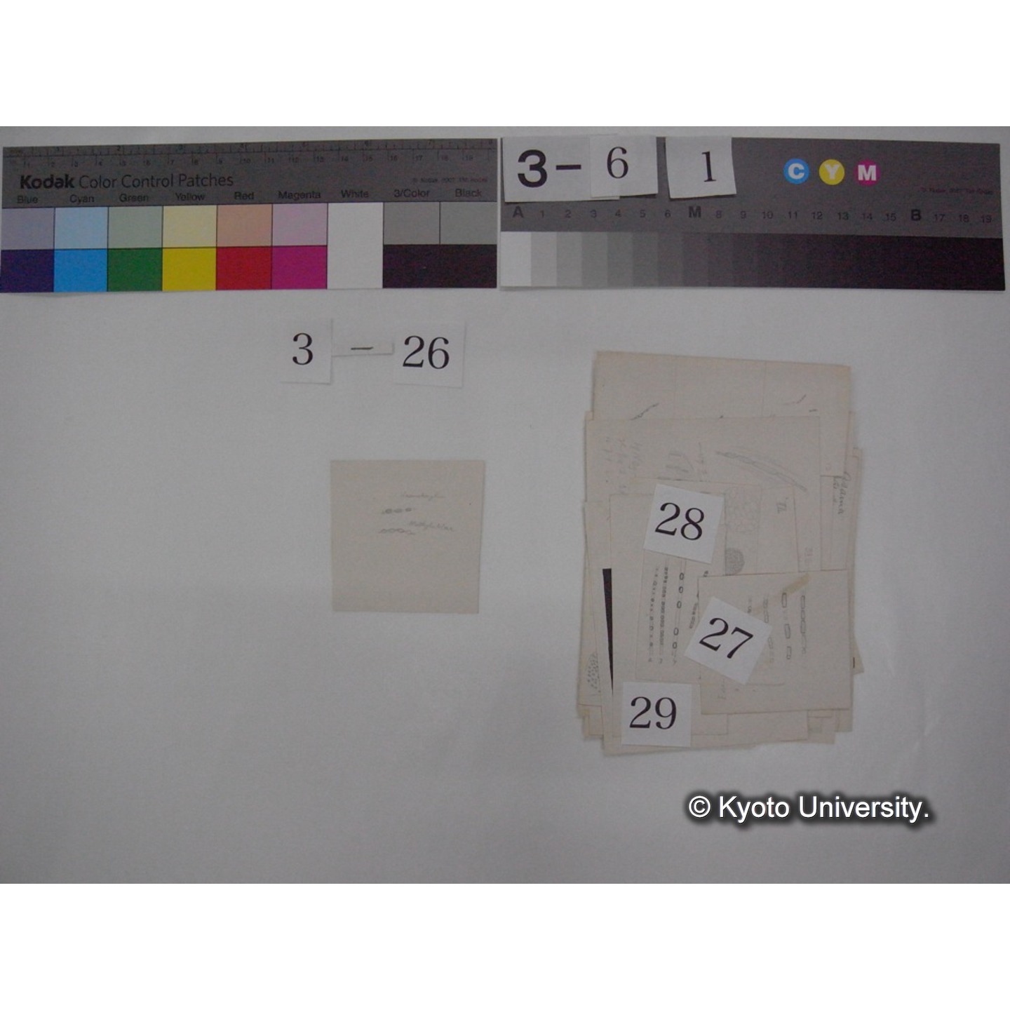 浅間山採集「天狗の麦飯」試料観察スケッチ等(「浅間山天狗之麦飯」) (34)