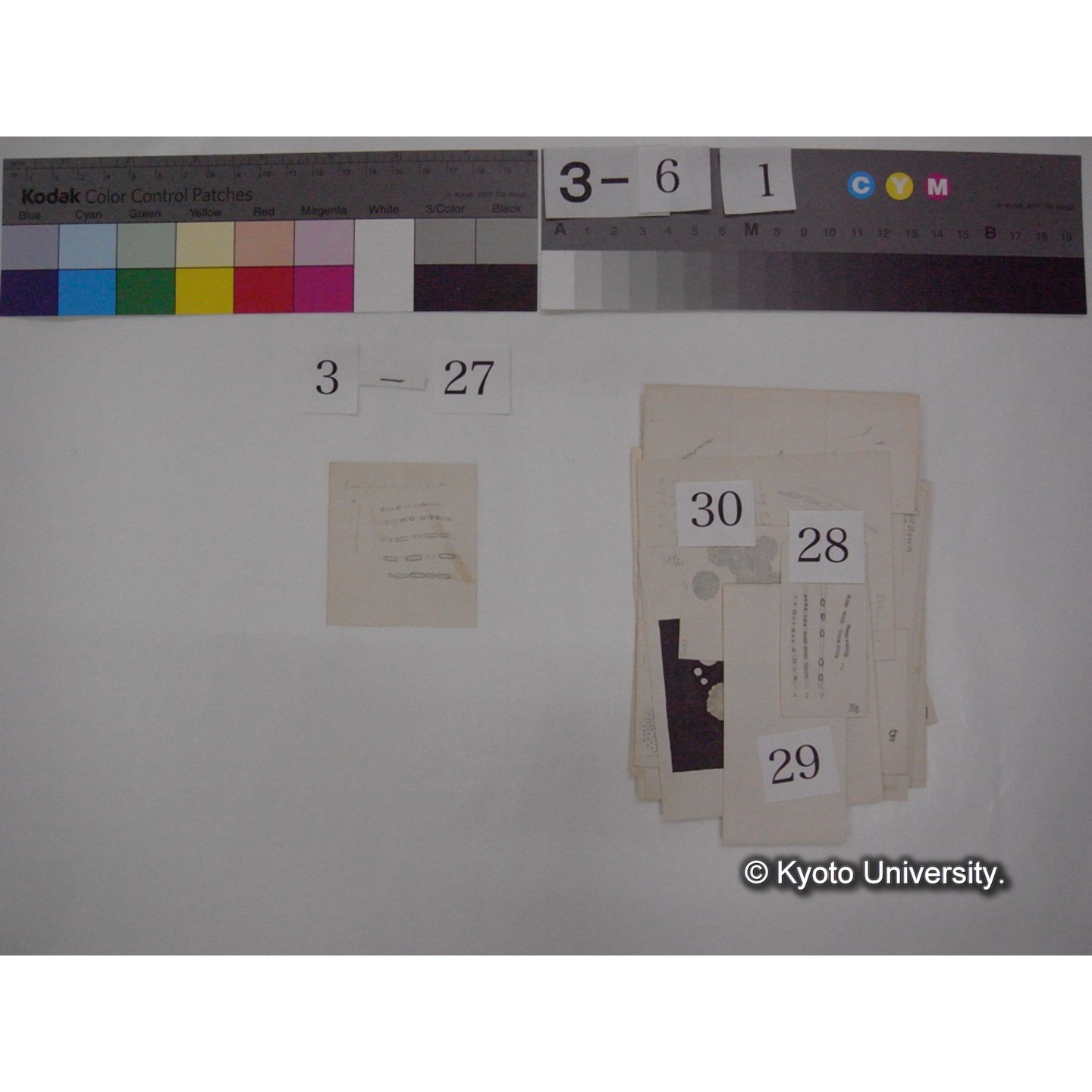 浅間山採集「天狗の麦飯」試料観察スケッチ等(「浅間山天狗之麦飯」) (35)