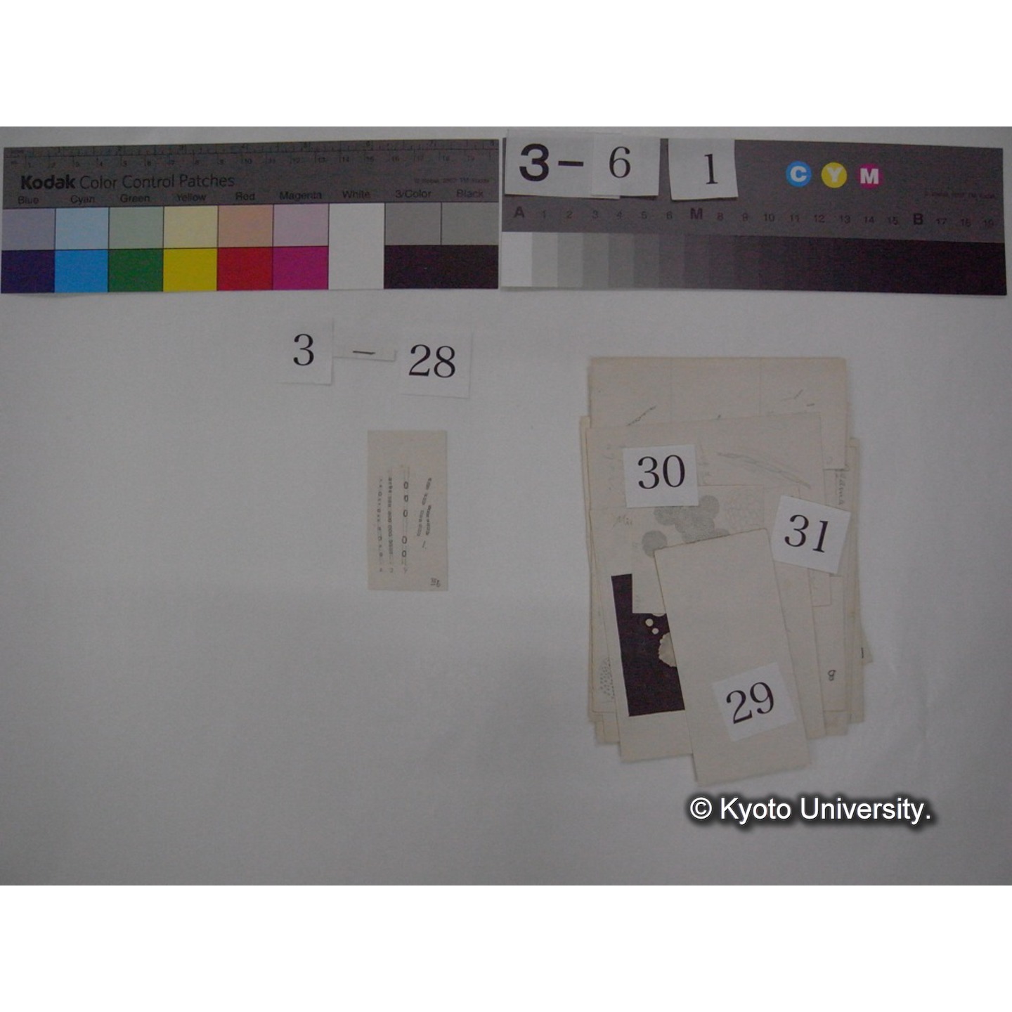 浅間山採集「天狗の麦飯」試料観察スケッチ等(「浅間山天狗之麦飯」) (36)