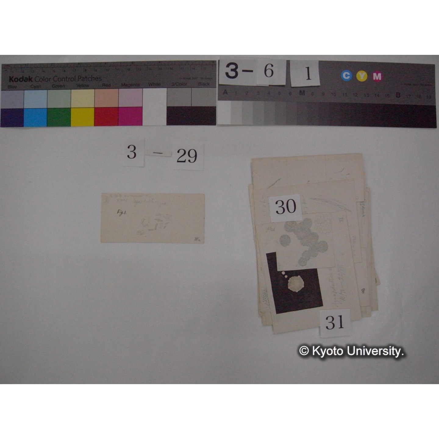 浅間山採集「天狗の麦飯」試料観察スケッチ等(「浅間山天狗之麦飯」) (37)