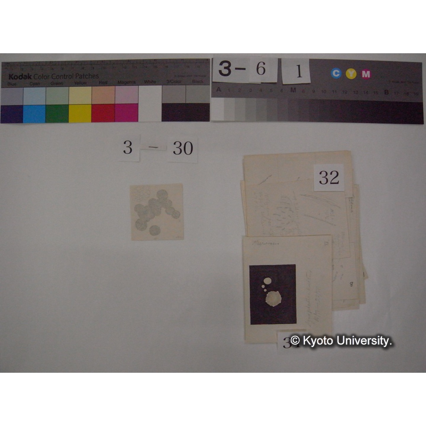 浅間山採集「天狗の麦飯」試料観察スケッチ等(「浅間山天狗之麦飯」) (38)