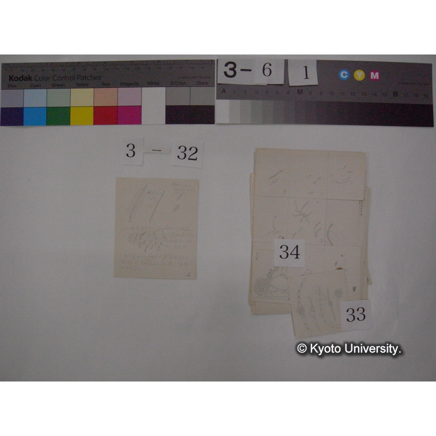 浅間山採集「天狗の麦飯」試料観察スケッチ等(「浅間山天狗之麦飯」) (40)