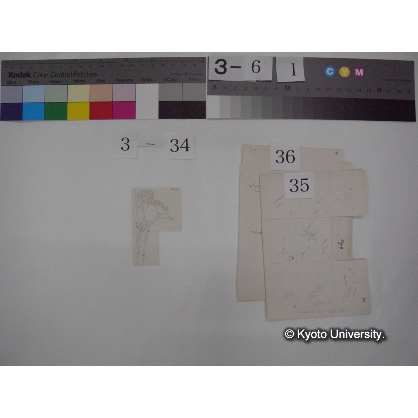 浅間山採集「天狗の麦飯」試料観察スケッチ等(「浅間山天狗之麦飯」) (42)