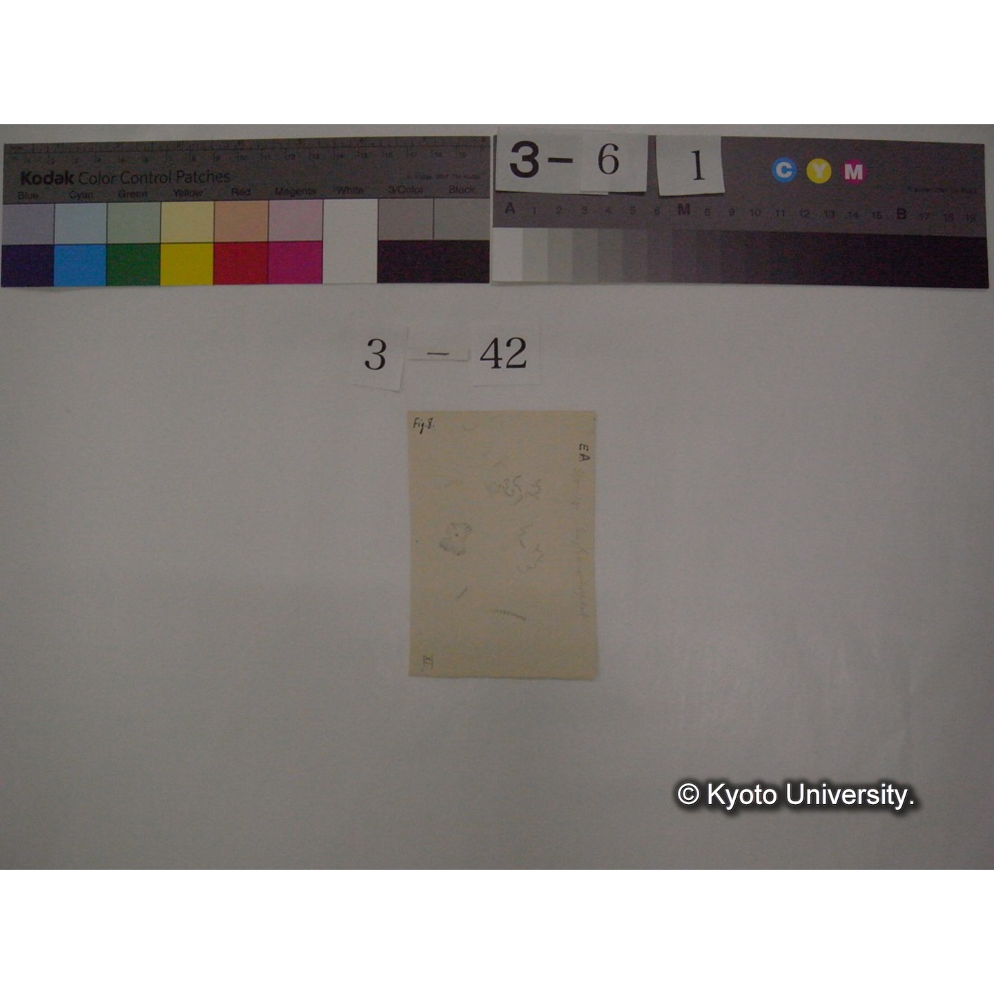 浅間山採集「天狗の麦飯」試料観察スケッチ等(「浅間山天狗之麦飯」) (50)