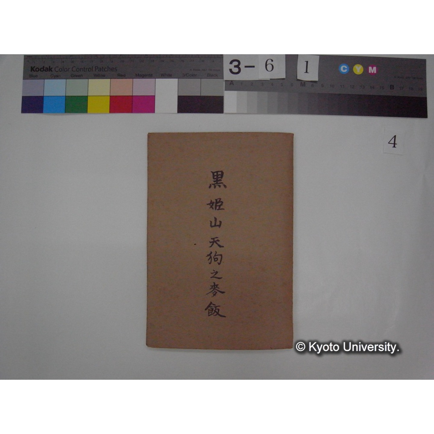 黒姫山「天狗の麦飯」採集試料観察スケッチ・各種資料・原稿等 (「黒姫山天狗ノ麦飯」) (1)