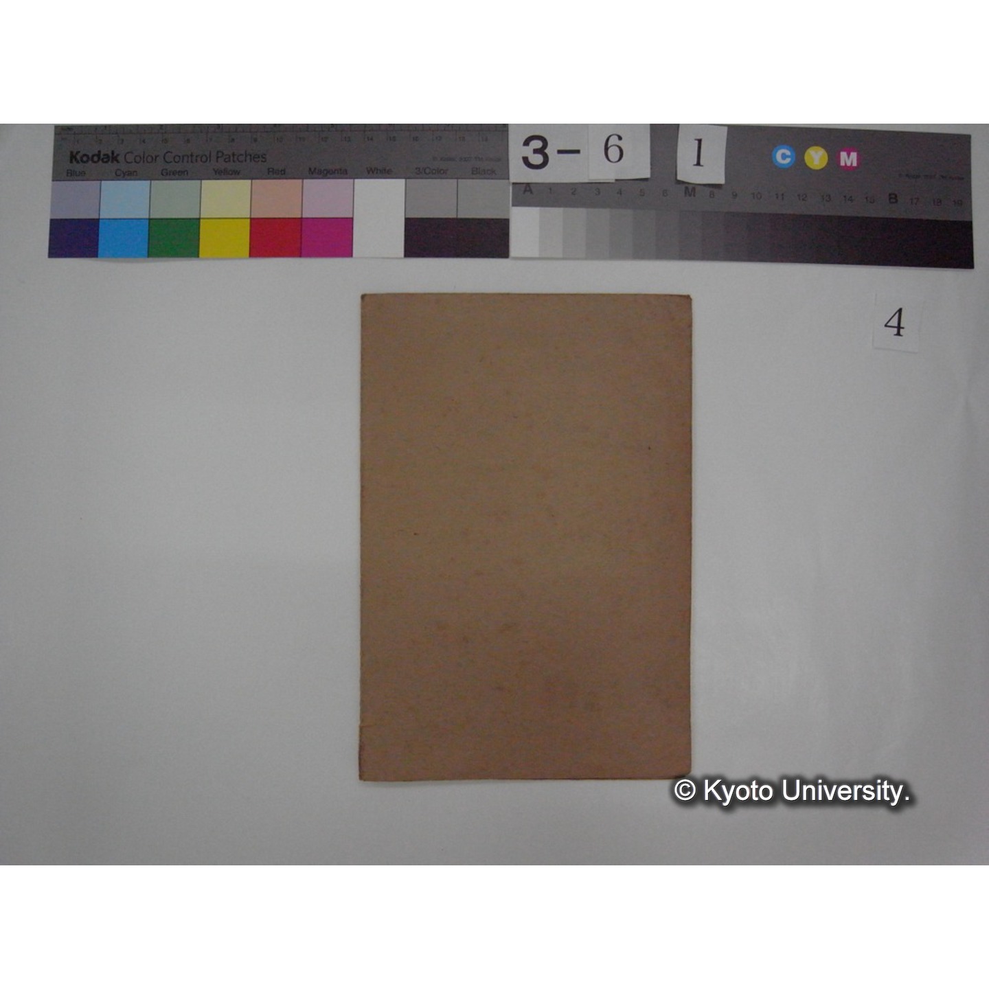 黒姫山「天狗の麦飯」採集試料観察スケッチ・各種資料・原稿等 (「黒姫山天狗ノ麦飯」) (2)