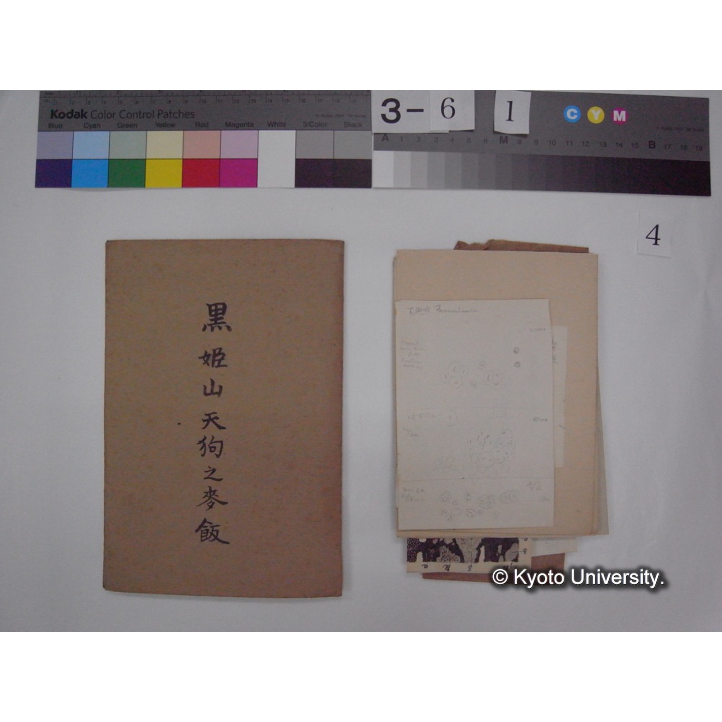 黒姫山「天狗の麦飯」採集試料観察スケッチ・各種資料・原稿等 (「黒姫山天狗ノ麦飯」) (4)