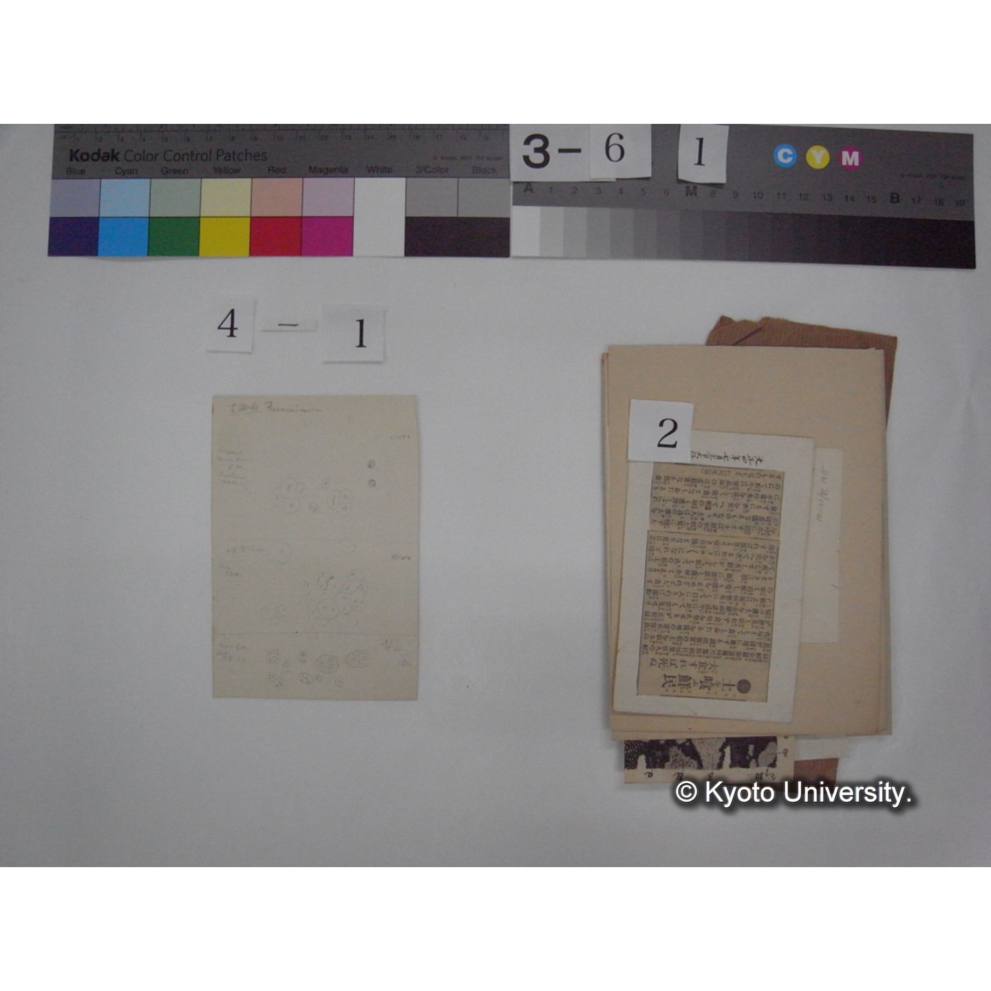 黒姫山「天狗の麦飯」採集試料観察スケッチ・各種資料・原稿等 (「黒姫山天狗ノ麦飯」) (6)