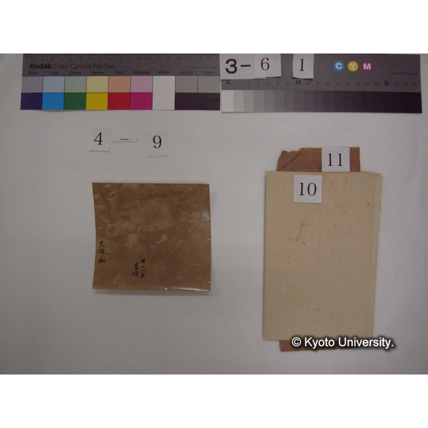 黒姫山「天狗の麦飯」採集試料観察スケッチ・各種資料・原稿等 (「黒姫山天狗ノ麦飯」) (16)