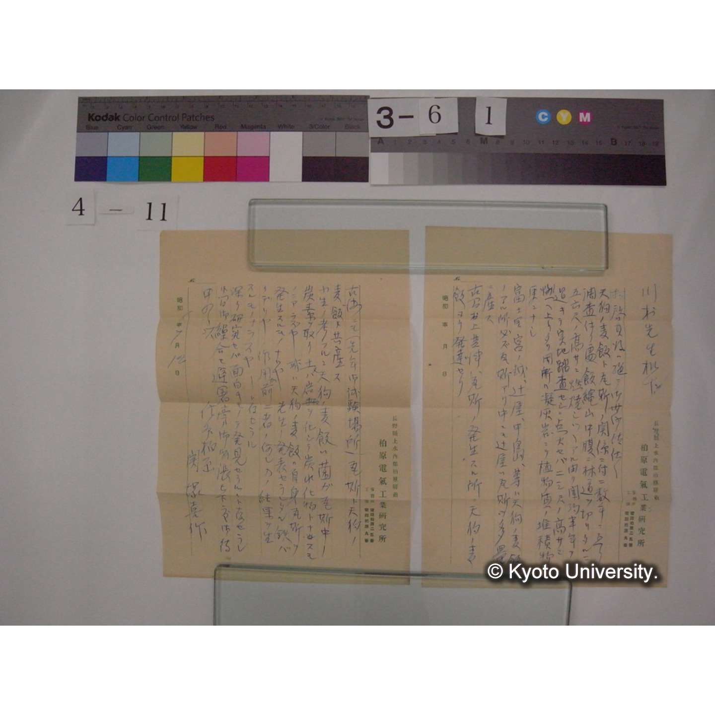 黒姫山「天狗の麦飯」採集試料観察スケッチ・各種資料・原稿等 (「黒姫山天狗ノ麦飯」) (20)