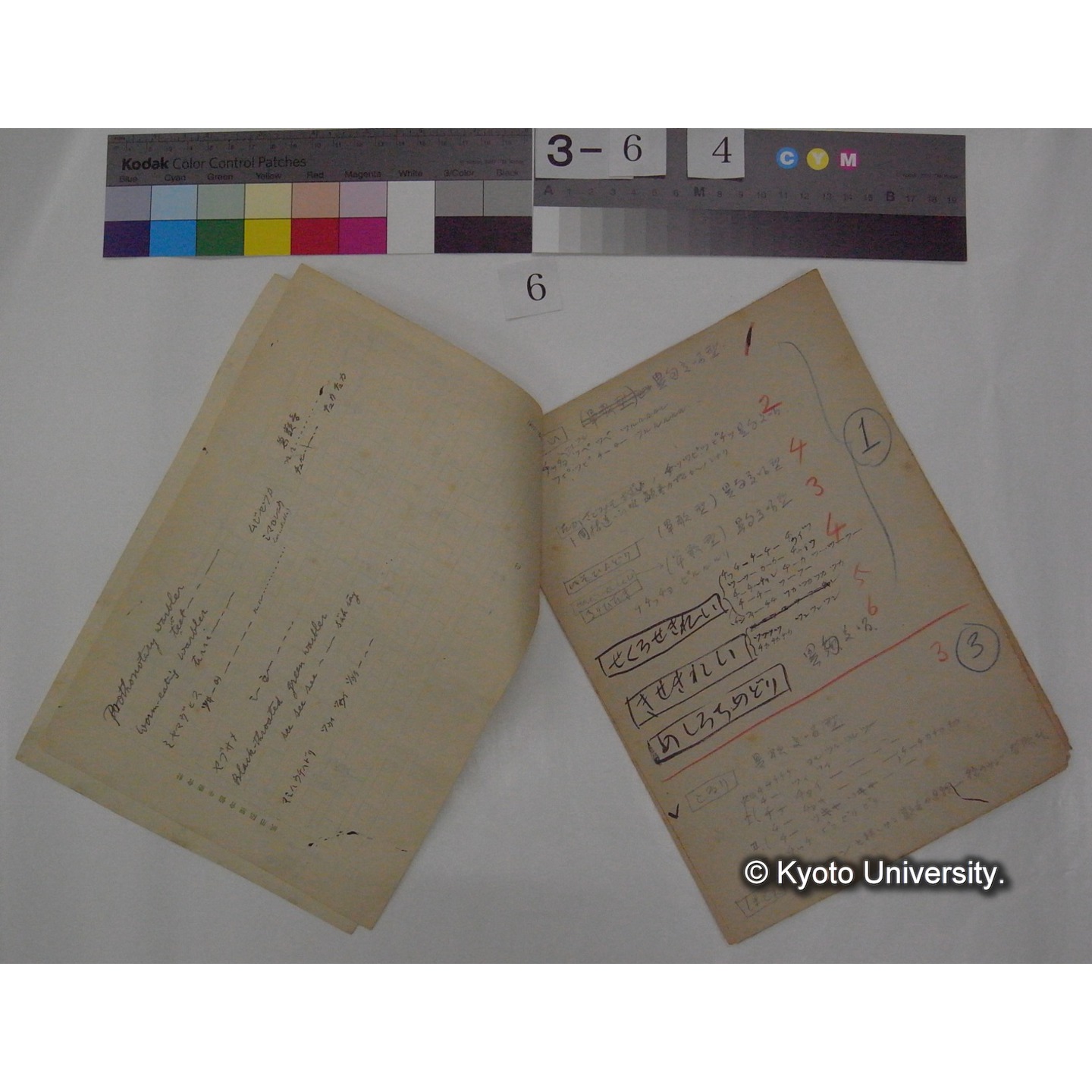 鳥歌の構成 / (川村多實二) [直筆ノート] (3)