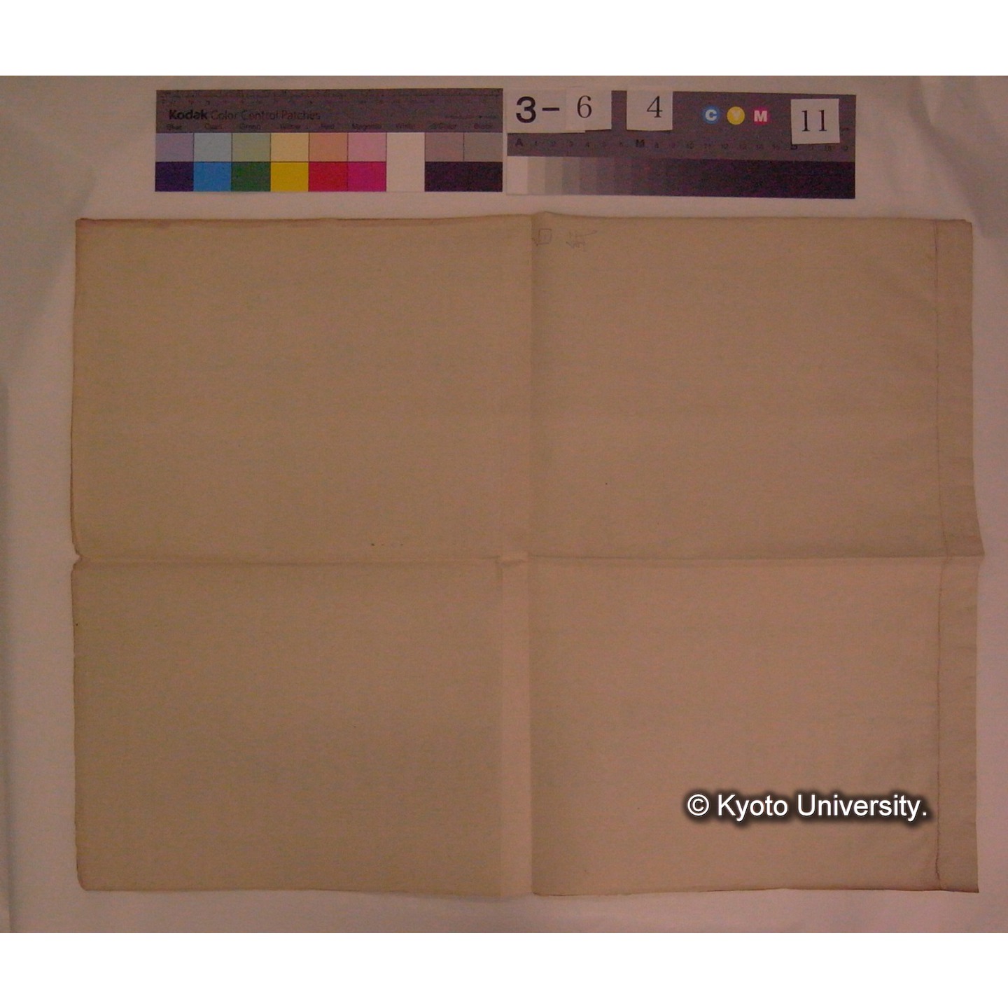 (「鶯科」「鶫科」の鳴き声分類表) / (川村多實二) [直筆資料] (2)