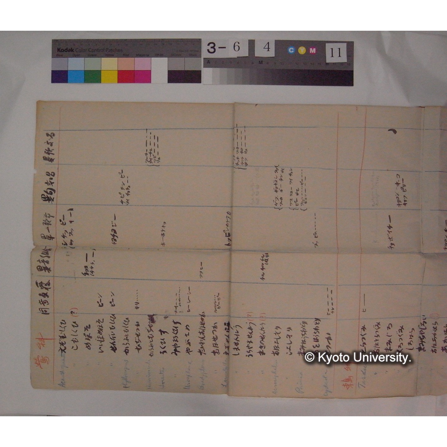 (「鶯科」「鶫科」の鳴き声分類表) / (川村多實二) [直筆資料] (3)