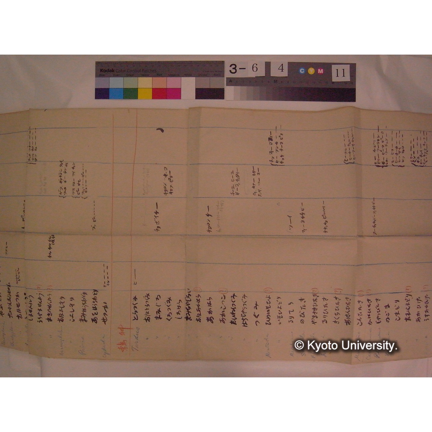 (「鶯科」「鶫科」の鳴き声分類表) / (川村多實二) [直筆資料] (4)