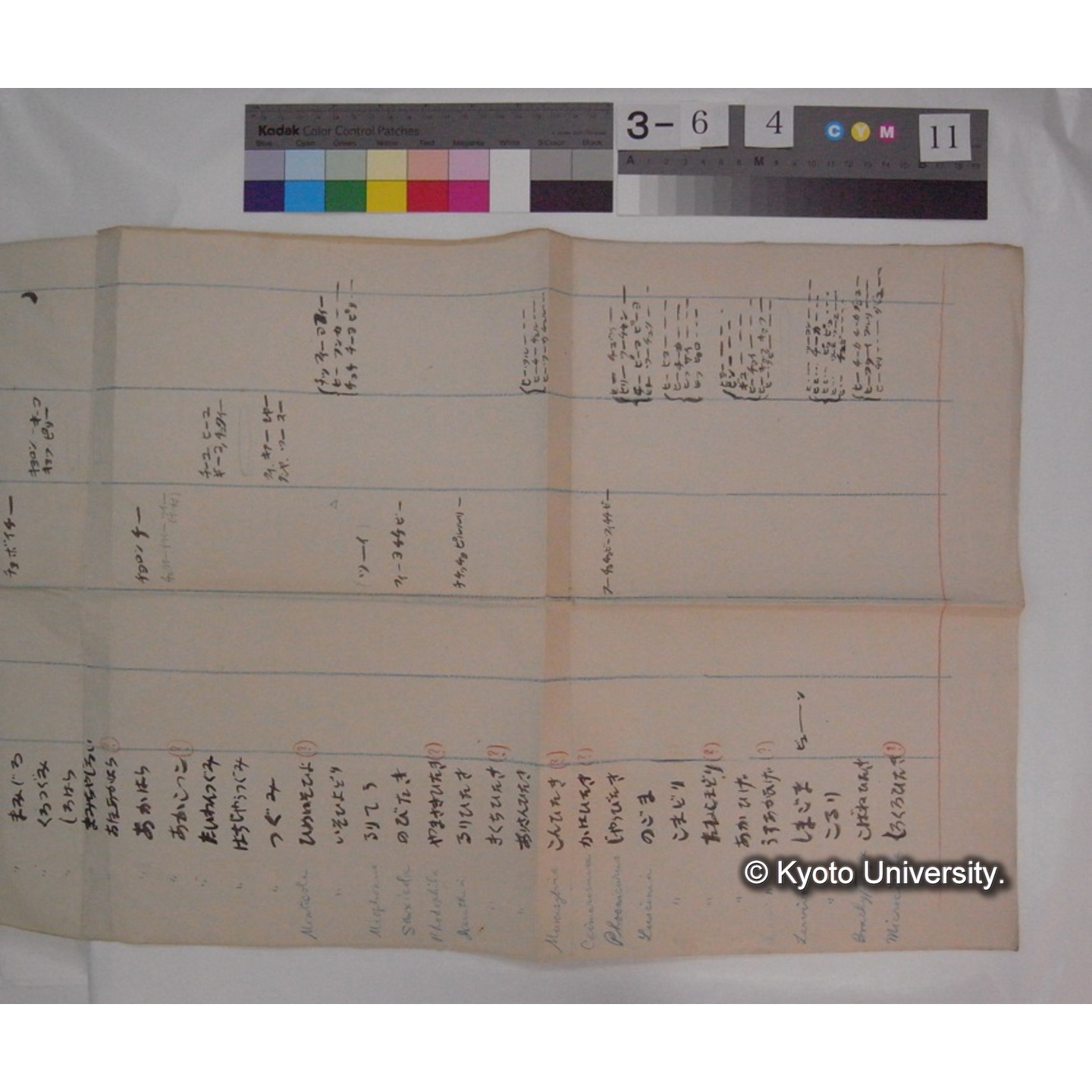 (「鶯科」「鶫科」の鳴き声分類表) / (川村多實二) [直筆資料] (5)