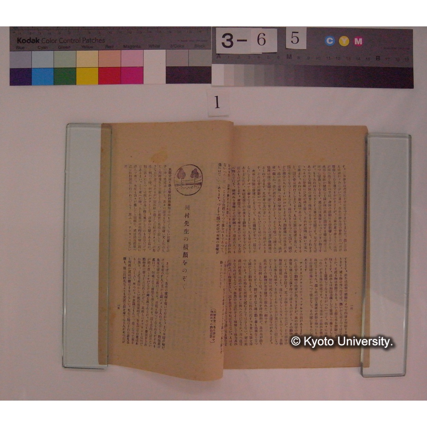 (津山中学生物研究部機関誌 : 川村多實二氏による講話などの記録冊子) / 津山中学生物研究部 (6)