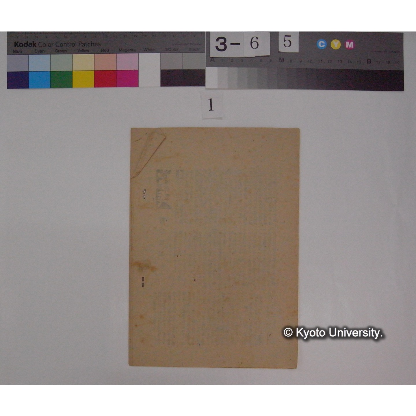 (津山中学生物研究部機関誌 : 川村多實二氏による講話などの記録冊子) / 津山中学生物研究部 (8)