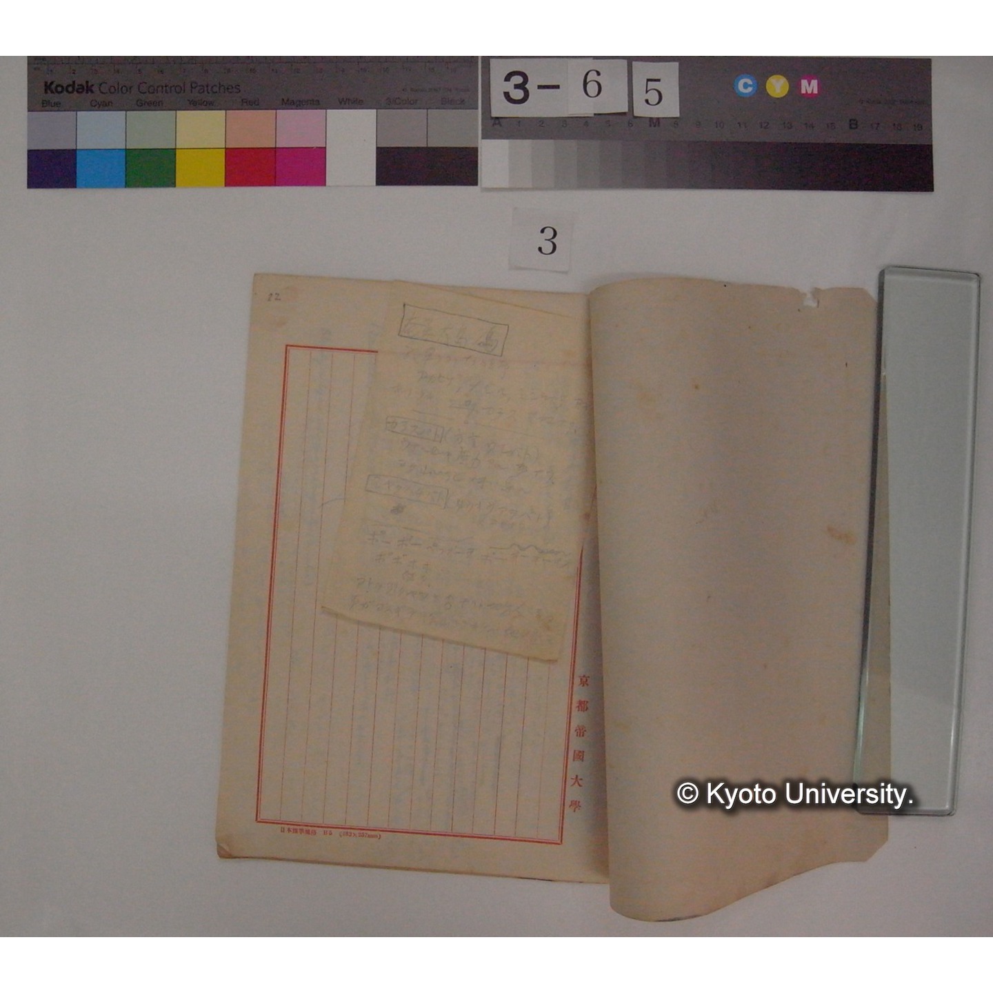 昭和十三年春・十四年春・十五年春 台湾及沖縄奄美大島旅行収穫 (鳥の鳴き声について) / (川村多實二) [直筆ノート] (2)