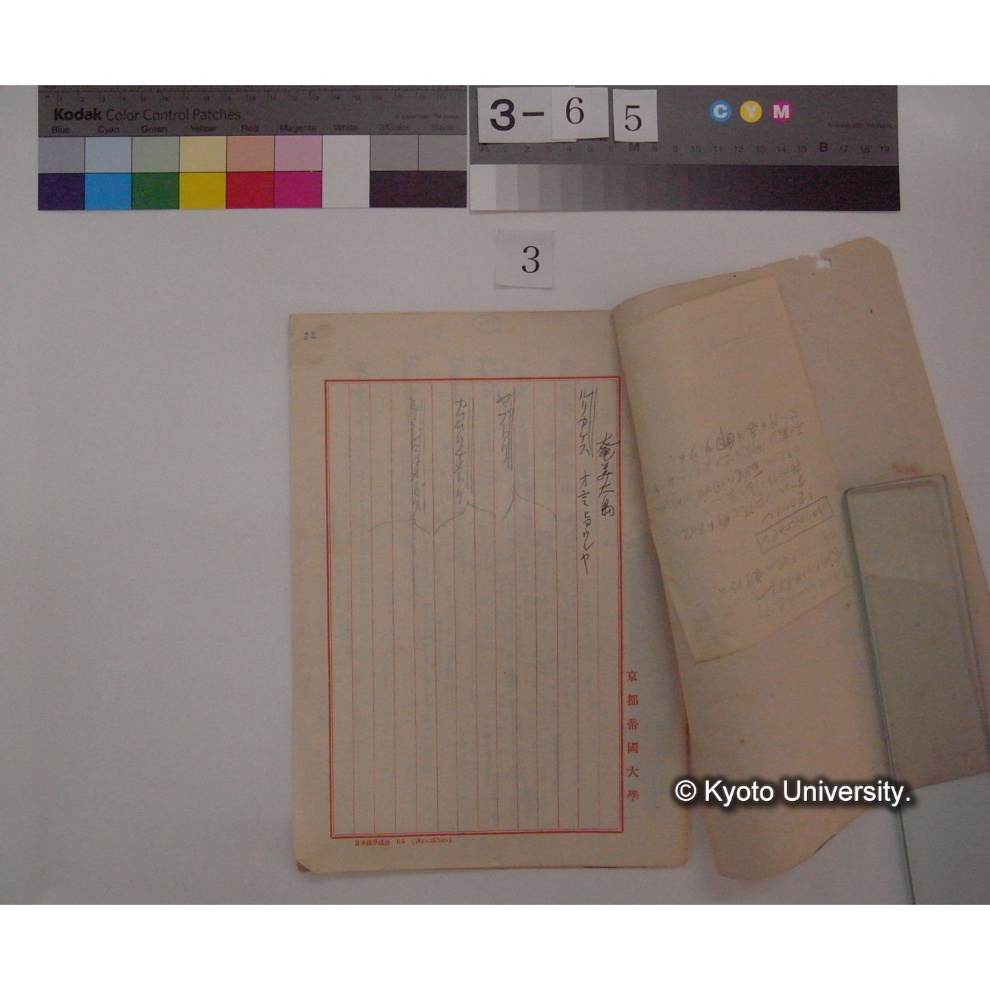 昭和十三年春・十四年春・十五年春 台湾及沖縄奄美大島旅行収穫 (鳥の鳴き声について) / (川村多實二) [直筆ノート] (3)