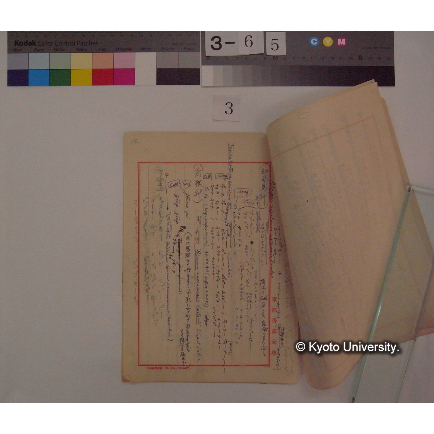 昭和十三年春・十四年春・十五年春 台湾及沖縄奄美大島旅行収穫 (鳥の鳴き声について) / (川村多實二) [直筆ノート] (4)