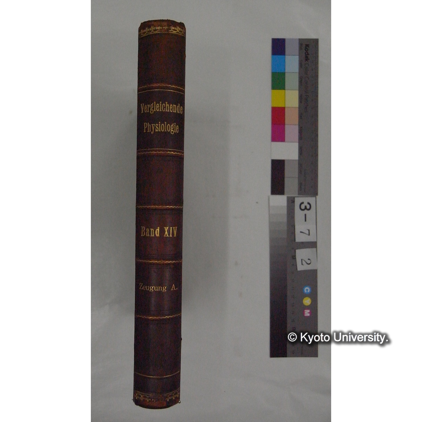 Vergleichende Physiologie (Band14: Zeugung A.) (比較生理学 巻14 発生) [翻訳ノート製本か] (1)