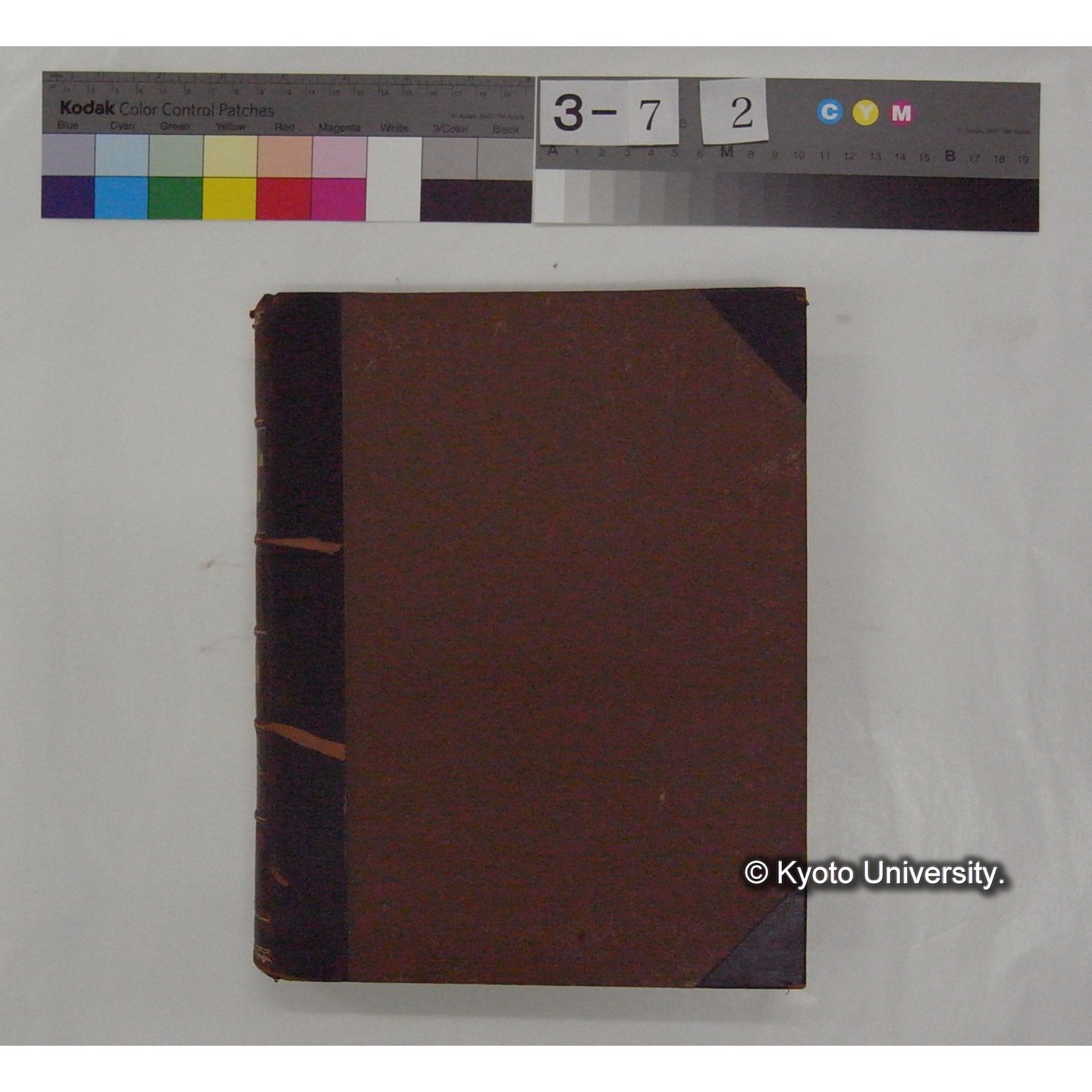 Vergleichende Physiologie (Band14: Zeugung A.) (比較生理学 巻14 発生) [翻訳ノート製本か] (2)