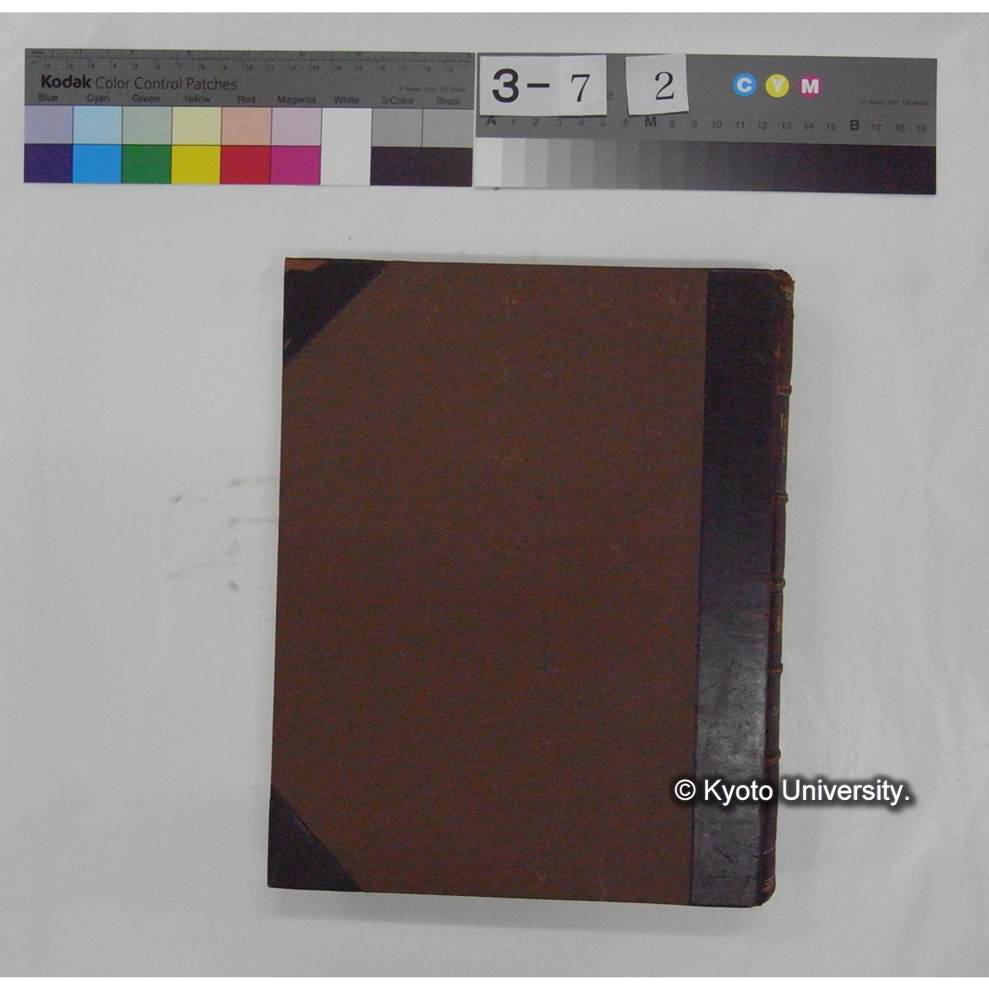 Vergleichende Physiologie (Band14: Zeugung A.) (比較生理学 巻14 発生) [翻訳ノート製本か] (3)