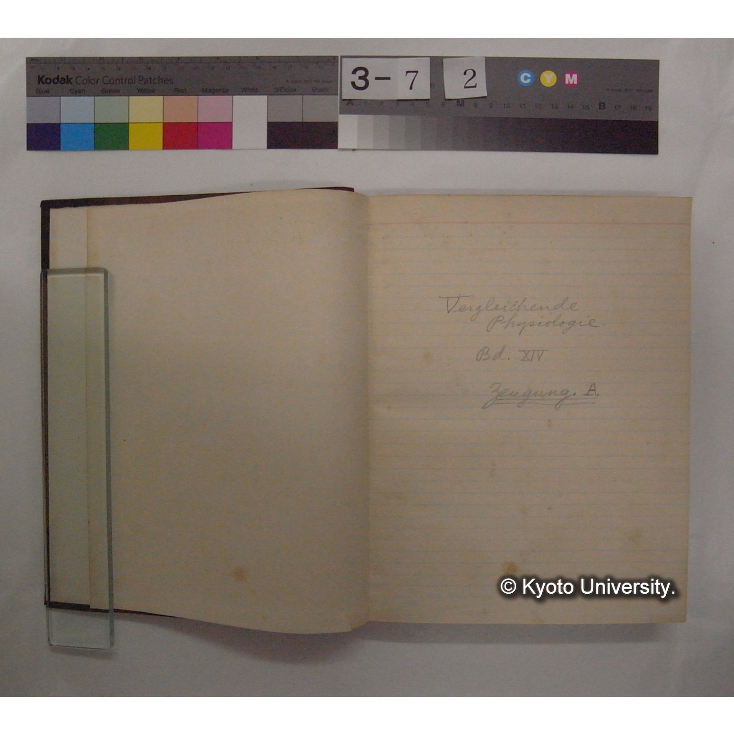 Vergleichende Physiologie (Band14: Zeugung A.) (比較生理学 巻14 発生) [翻訳ノート製本か] (4)