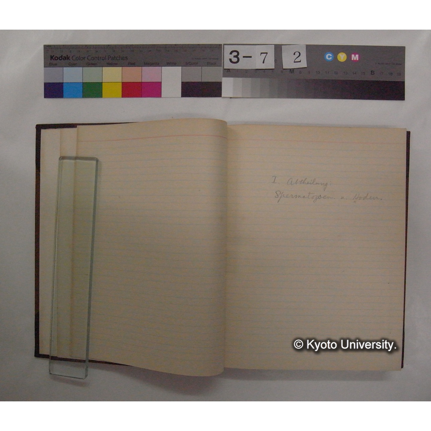 Vergleichende Physiologie (Band14: Zeugung A.) (比較生理学 巻14 発生) [翻訳ノート製本か] (5)