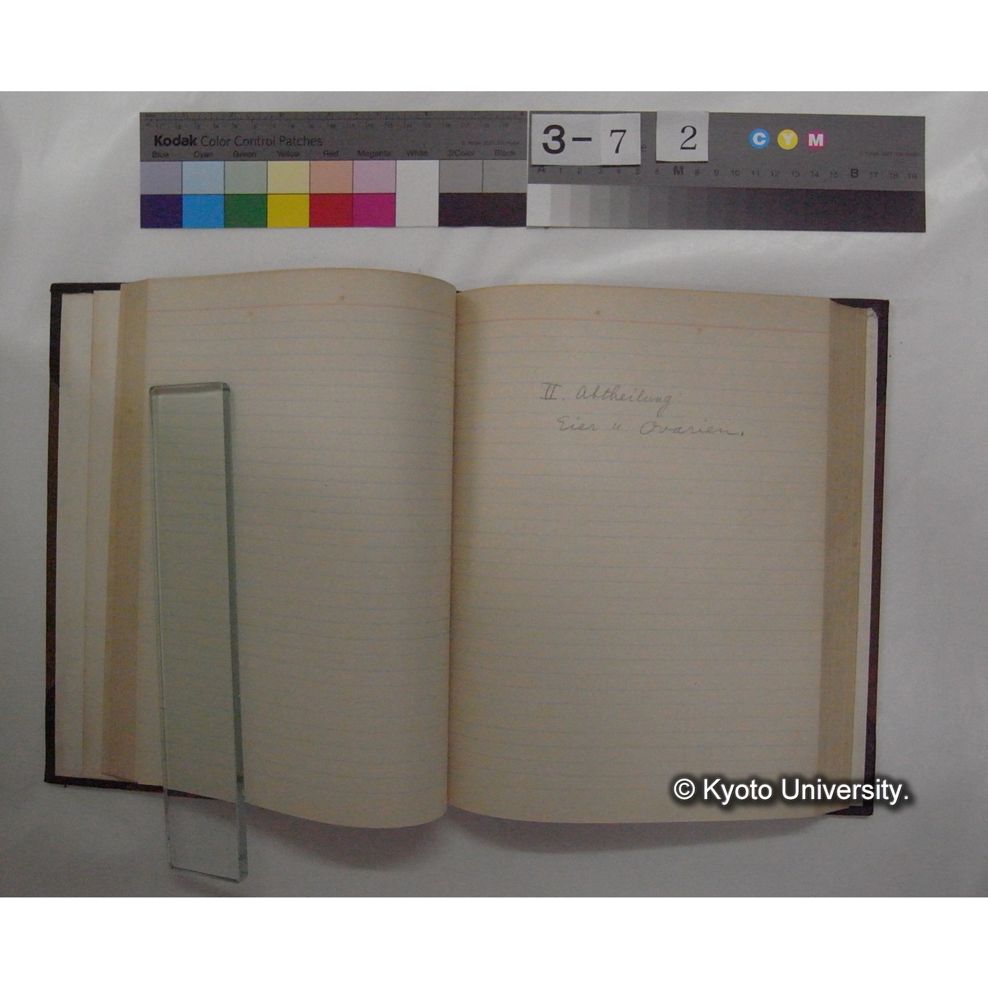 Vergleichende Physiologie (Band14: Zeugung A.) (比較生理学 巻14 発生) [翻訳ノート製本か] (8)