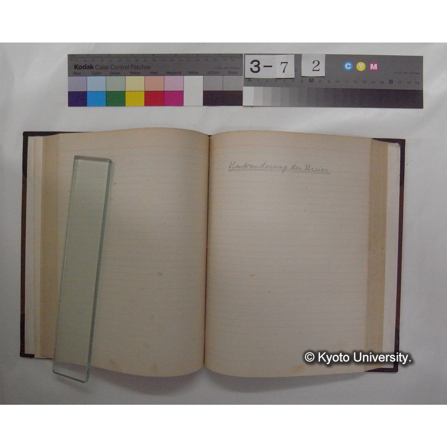 Vergleichende Physiologie (Band14: Zeugung A.) (比較生理学 巻14 発生) [翻訳ノート製本か] (11)