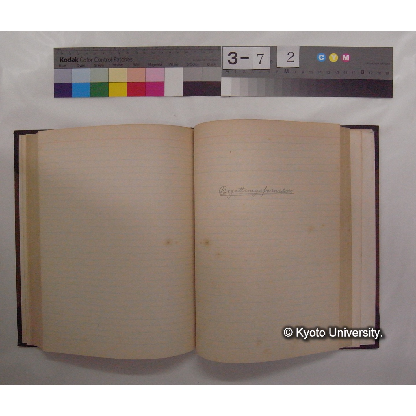 Vergleichende Physiologie (Band14: Zeugung A.) (比較生理学 巻14 発生) [翻訳ノート製本か] (13)