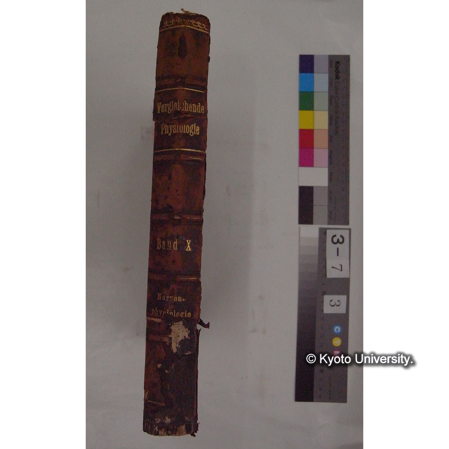 Vergleichende Physiologie (Band10: Nerven. Physiologie) (比較生理学 巻10 神経生理学) [翻訳ノート製本か] (1)