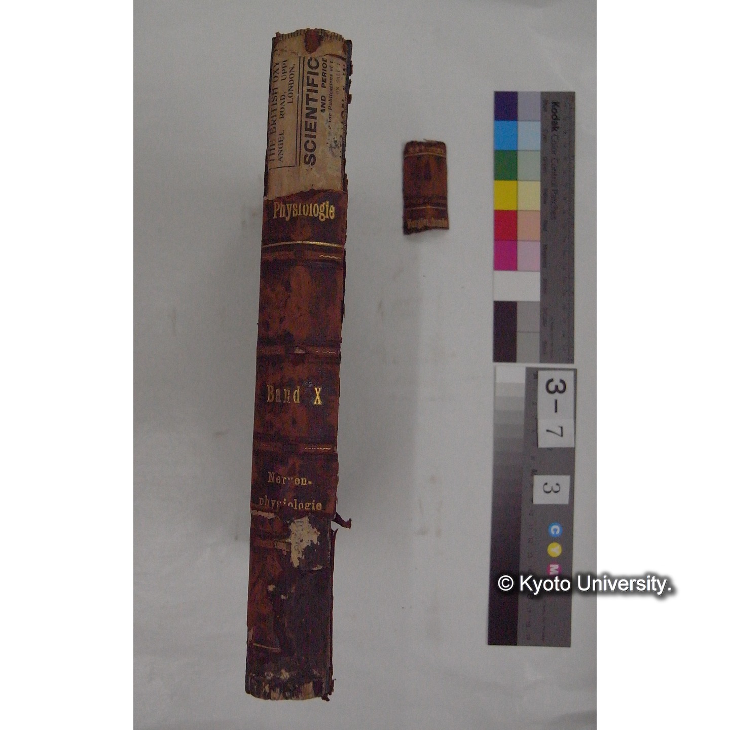 Vergleichende Physiologie (Band10: Nerven. Physiologie) (比較生理学 巻10 神経生理学) [翻訳ノート製本か] (2)